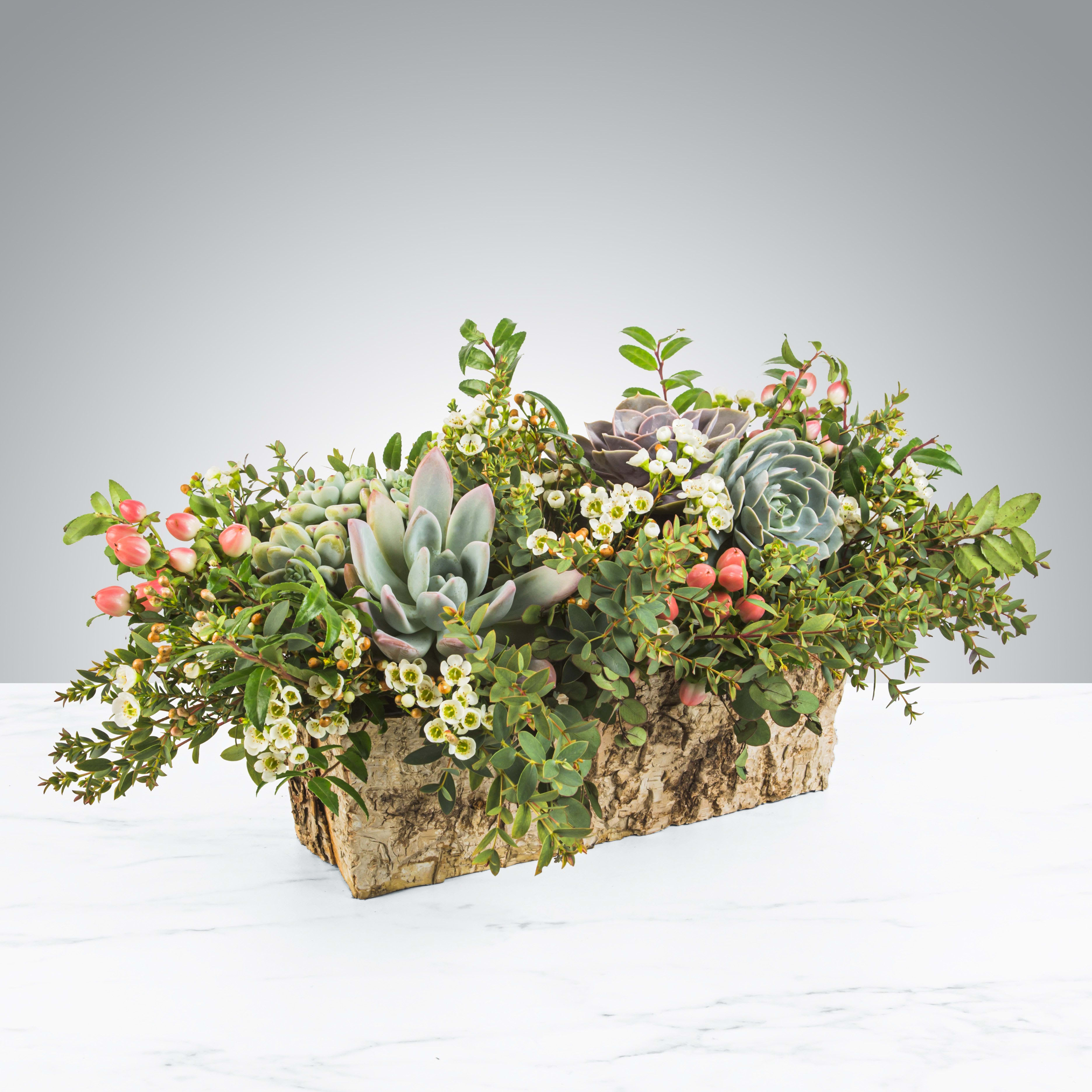 English Garden - When spending the summer in an english country estate with Jane Austen or the royal family isn't an option, English Garden by BloomNation™ is the next best thing. This long lasting centerpiece style arrangement features a variety of greenery, natural flowers, succulents and berries.  APPROXIMATE DIMENSIONS 22" W X 10" H