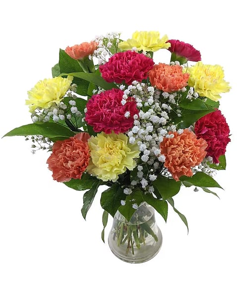 Dozen Colorful Carnations Bouquet - Beautiful 12 stems of carnations bouquet in a clear vase add a stuffed animal, box of chocolates, or balloon for a final touch