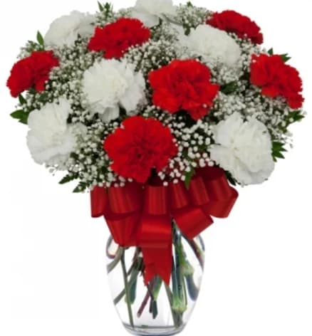 Dozen Rand and White Carnations - Beautiful 12 stems of carnations in a clear vase with a bow add a stuffed animal, box of chocolates, or balloon for a final touch.
