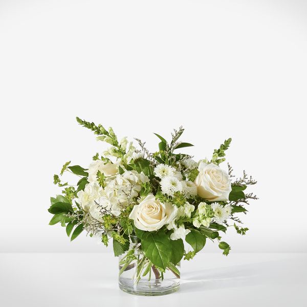 Hints of Vanilla Bouquet - This low-profile arrangement features a creamy, monochromatic palette that exudes clam and sophistication. Hints of Vanilla showcases the velvety texture of white roses and snapdragons; all nestled into a lush bed of hydrangeas. Finished with a collar of deep seasonal greens, it is the perfect elegant accent for the home,