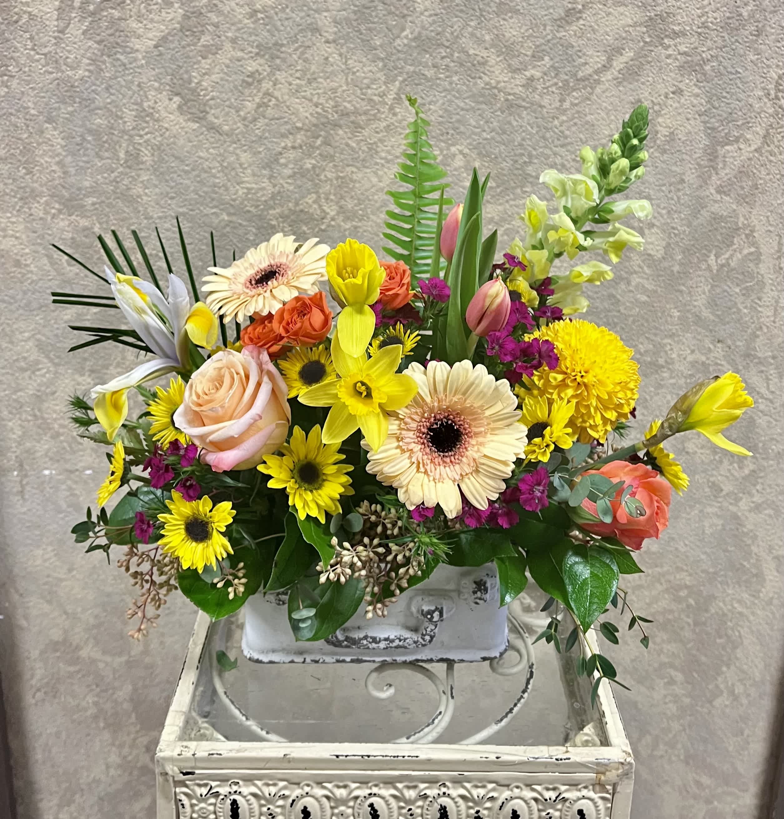 Spring is here - Recipe: Yellow Snapdragon, Seasonal Daffodils, Roses, Gerbera Daisies, Spray Roses, Iris, Tulips, Chrysthamums, Daisies, and Sweet William in a white, suitcase vase. Season: Seasonal Daffodils Orientation: Front Facing View Photo shown: Standard 