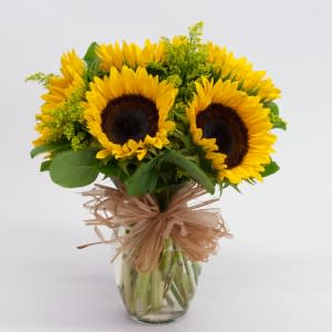 Sunflowers in Vase - Large sunflowers arranged in a 7" vase wrapped in a straw bow.  ONLY DELUXE AND PREMIUM ARE AVAILABLE FOR DELIVERY. PLEASE CALL