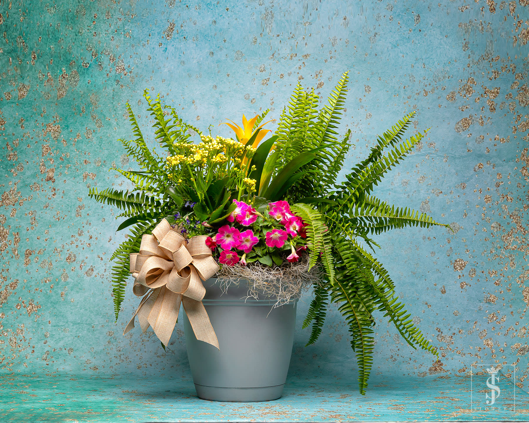 Spring Mix Patio Pot Planter  - Send this beautiful 8' Small or 10' Medium or Large Patio Pot Planter mixed with outdoors plants that will need some sunlight. This planter is the perfect longlisting gift that will keep growing. Each planter is different with the green plants and blooming plants. Each planter comes with a bow adding a nice touch to the patio pot. 