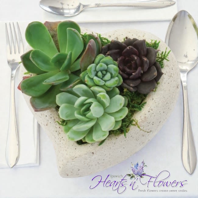 Everlasting Heart Garden - Celebrate love that lasts with our Everlasting Heart Garden — a beautifully arranged collection of living succulents nestled inside a charming 5” heart-shaped planter.