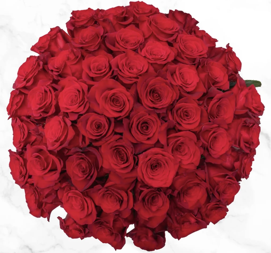 50 Stem Red Roses  - Available with white or red luxury wrap 