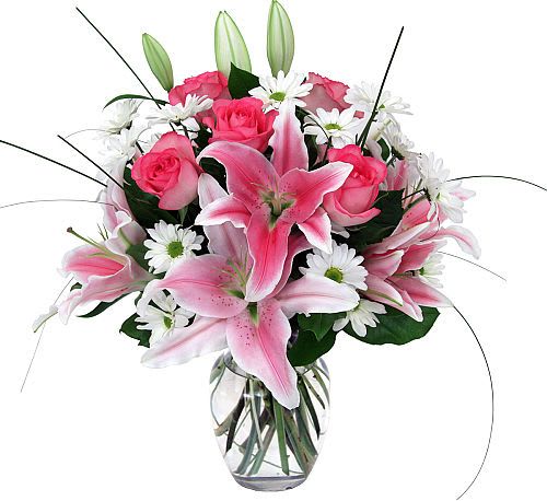 Blushing Elegance – Lily &amp; Rose Romance Bouquet - Sweep your Valentine off their feet with the Blushing Elegance – Lily &amp; Rose Romance Bouquet, a breathtaking mix of delicate pink roses, enchanting stargazer lilies, and fresh white daisies. This stunning arrangement embodies romance, beauty, and timeless elegance, making it the perfect gift for someone truly special.  Why It’s Perfect for Valentine’s Day:   Fragrant Stargazer Lilies: Symbolizing passion and prosperity with their captivating scent.  Soft Pink Roses: Representing admiration, gratitude, and sweet romance.  Pure White Daisies: Adding a fresh, cheerful touch of innocence and joy.  Elegant Glass Vase: A classic and sophisticated presentation, ready to be displayed and adored.  A Romantic Masterpiece: Designed to make your loved one feel cherished and adored.  Perfect Gift Pairing:   Add a Personalized Love Note to express your heartfelt emotions.  Pair with Gourmet Chocolates for an extra sweet surprise.  Include a Plush Teddy Bear for a cozy, sentimental touch.
