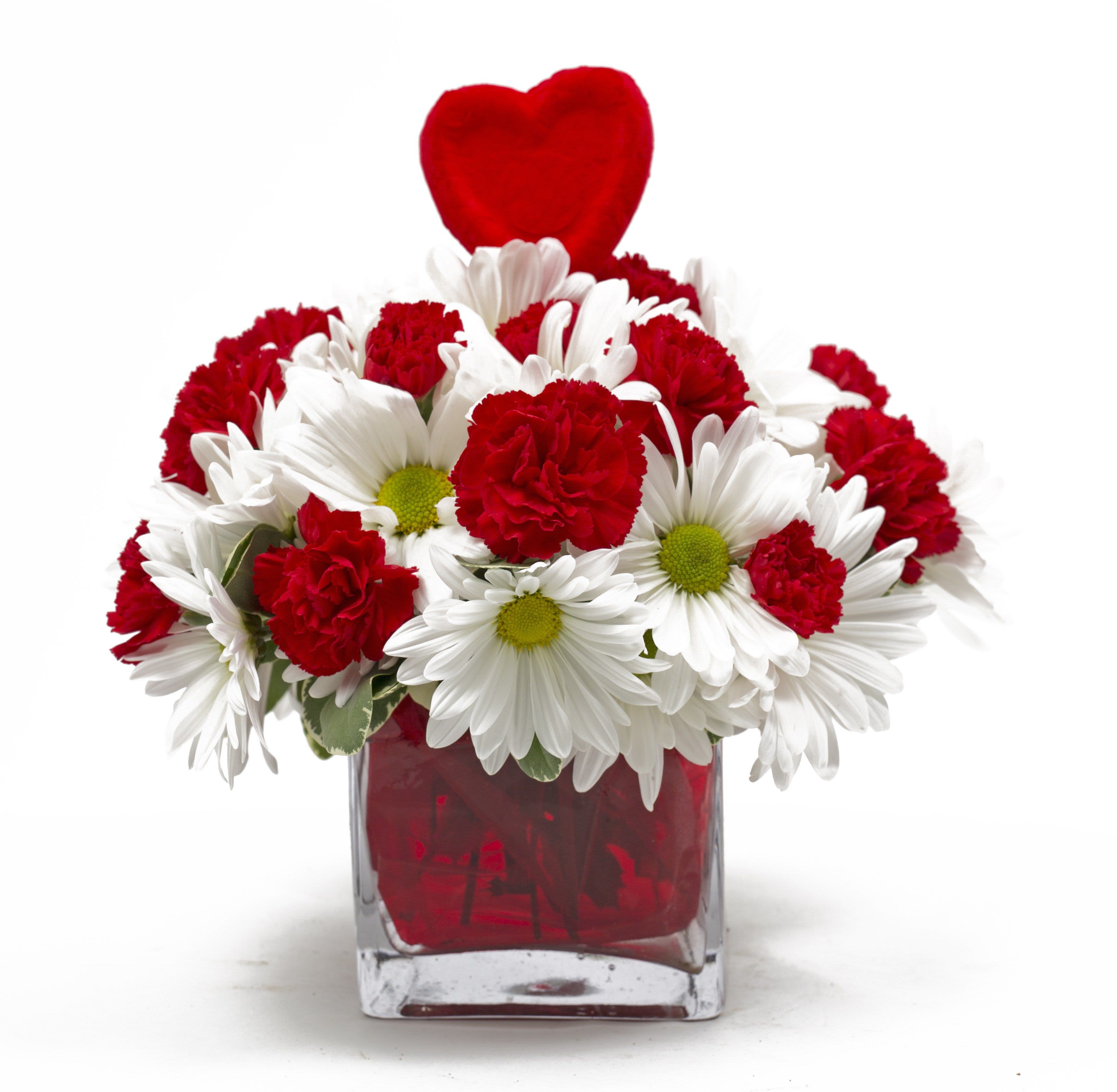 Cupid’s Delight Daisy &amp; Carnation Arrangement - Capture hearts this Valentine’s Day with the charming Cupid’s Delight Daisy &amp; Carnation Arrangement. This cheerful bouquet features a playful mix of bright white daisies and vibrant red carnations, perfectly arranged in a sleek, modern red cube vase. Topped with an adorable plush heart accent, it’s the perfect blend of sweet and romantic.  This compact yet eye-catching arrangement is ideal for brightening up desks, nightstands, or kitchen tables, spreading love and happiness wherever it’s displayed.  Why It’s Perfect for Valentine’s Day: ️ Festive Red &amp; White Color Palette: Symbolizing love, purity, and joy.  Fresh Daisies &amp; Carnations: A delightful combination of texture and charm. 