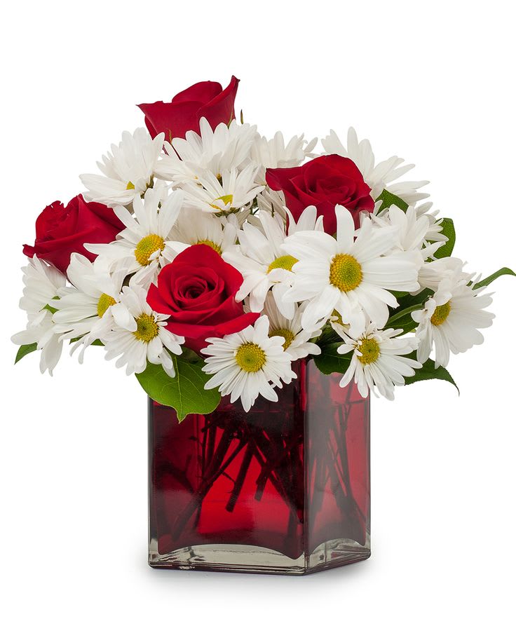 Oh Daisy -  SUBSTITUTION POLICY: In some instances, our photo may represent an overall theme and includes a one-of-a-kind vase which cannot be exactly replicated. Although the actual arrangement may not precisely match the photo, it will be as close as possible. Occasionally, substitutions of flowers and/or containers happen due to weather, seasonality, and stock availability.  If any design elements are of major importance to your order, please include them in the florist instructions at checkout our contact us to ensure availability.