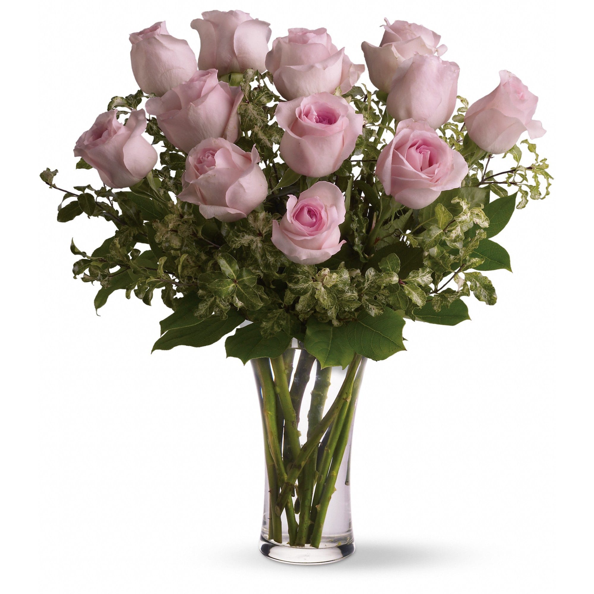 1 Dozen Pink - A dozen pink roses with variegated pittosporum and salal in a beautiful glass vase. Approximately 16" W x 20" H. 