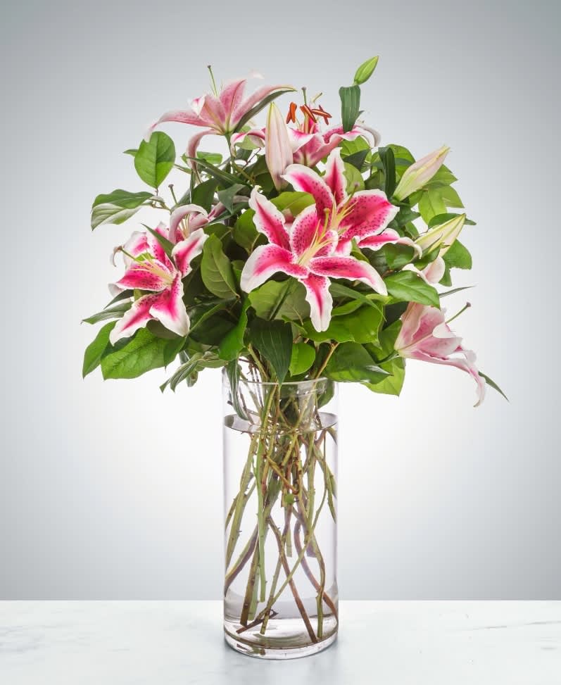 Splendent Stargazers by BloomNation™ - Pink lilies stand for love, admiration, compassion, and femininity. Send this sweet-smelling lily arrangement for Mother's Day, Women's Day, or an Anniversary.  1st Image: Standard 2nd Image: Premium