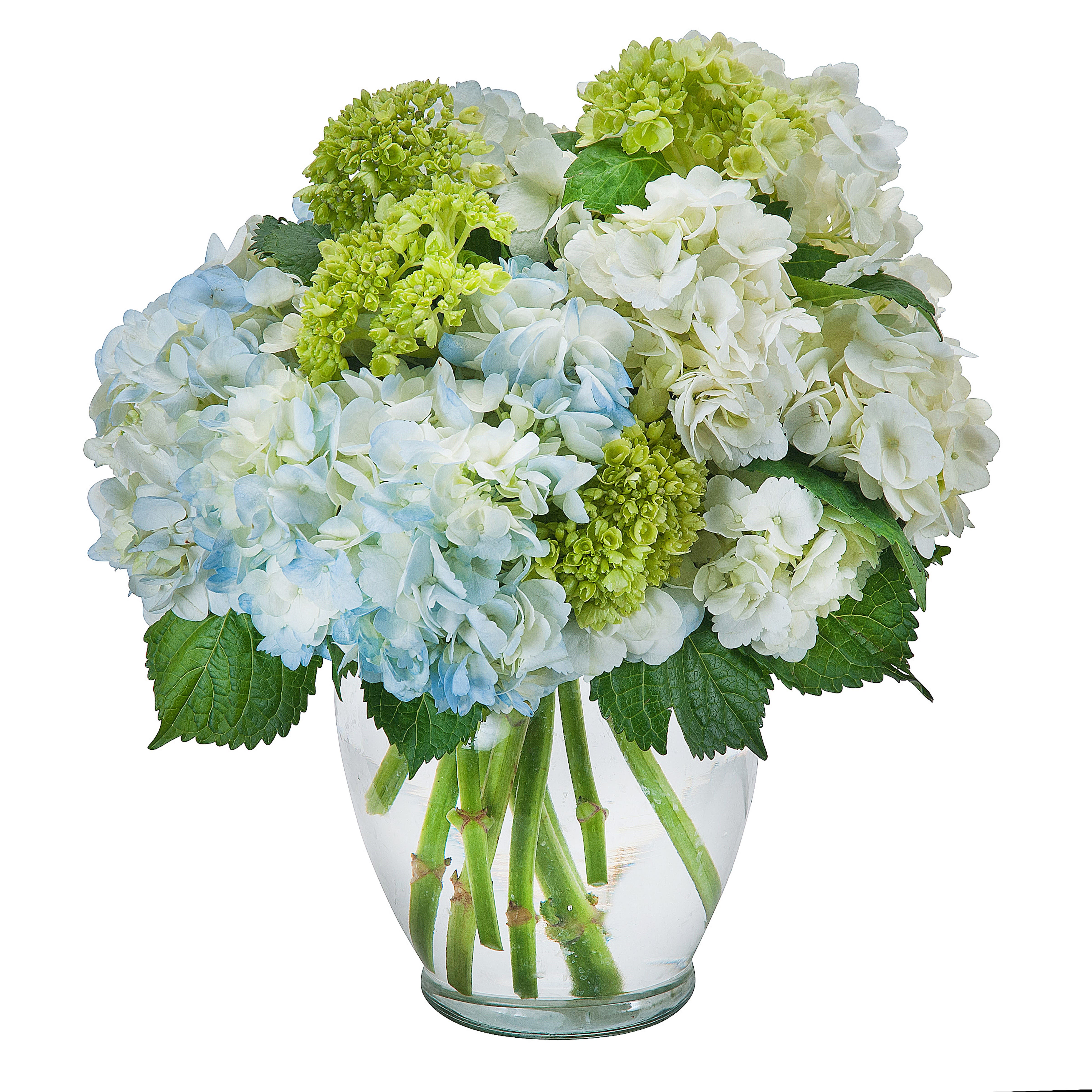 Southern Hospitality - A clear vase filled with beautiful hydrangea.