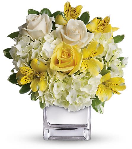 Teleflora's Sweetest Sunrise Bouquet - This sparkling array of sunny favorites in a silver cube vase will be the star of any room. It's a sweet gift she'll love to receive - and you'll be proud to give. Sweet price too. The cheerful bouquet includes white hydrangea yellow roses crème roses and yellow alstroemeria accented with fresh greenery. Delivered in a contemporary glass cube with a mirrored silver finish.Approximately 10 1/2" W x 11 1/2" H Orientation: One-Sided As Shown : T403-3ADeluxe : T403-3BPremium : T403-3C