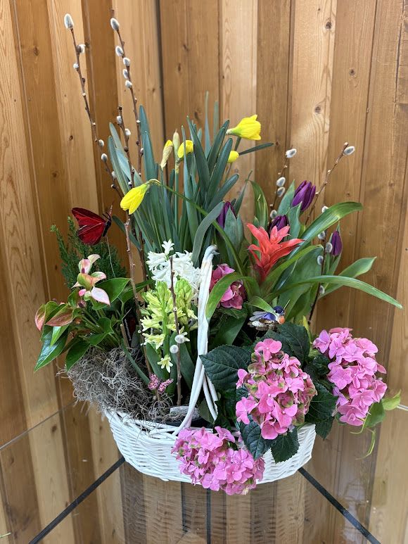 Blooming Spring Garden - Basket of blooming plants. Available mostly in the spring from Haehn Florist &amp; Greenhouses in Wapakoneta, OH. Colors may vary along with bird and bow.