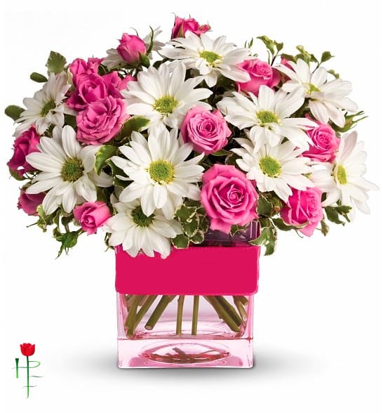 Roses &amp; Daises - square glass vase, may included white daisies and spray rose with green foliage  