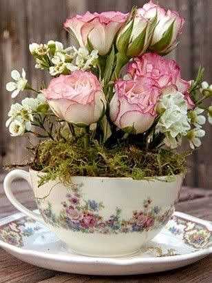 A Nice Cup of Tea - How lovely to sit outside on a beautiful day and have a nice cup of .... knockout roses to stare at. These are exclusively grown by Wonderland Flowers and come in pink, or yellow, surrounded with moss. 