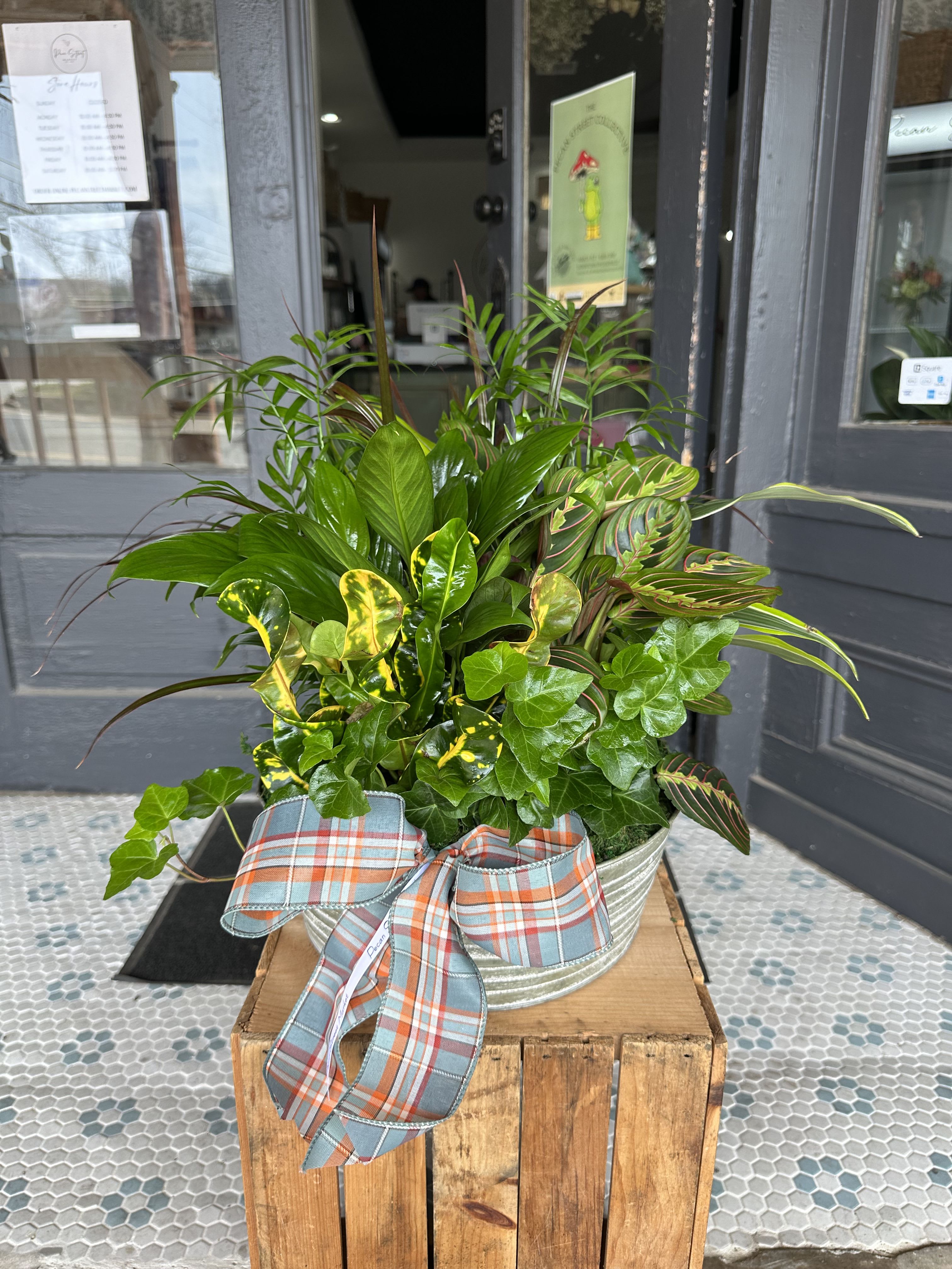 Dish Garden - A beautiful arrangement of plants that create the classic dish garden, displayed in a beautiful pot.