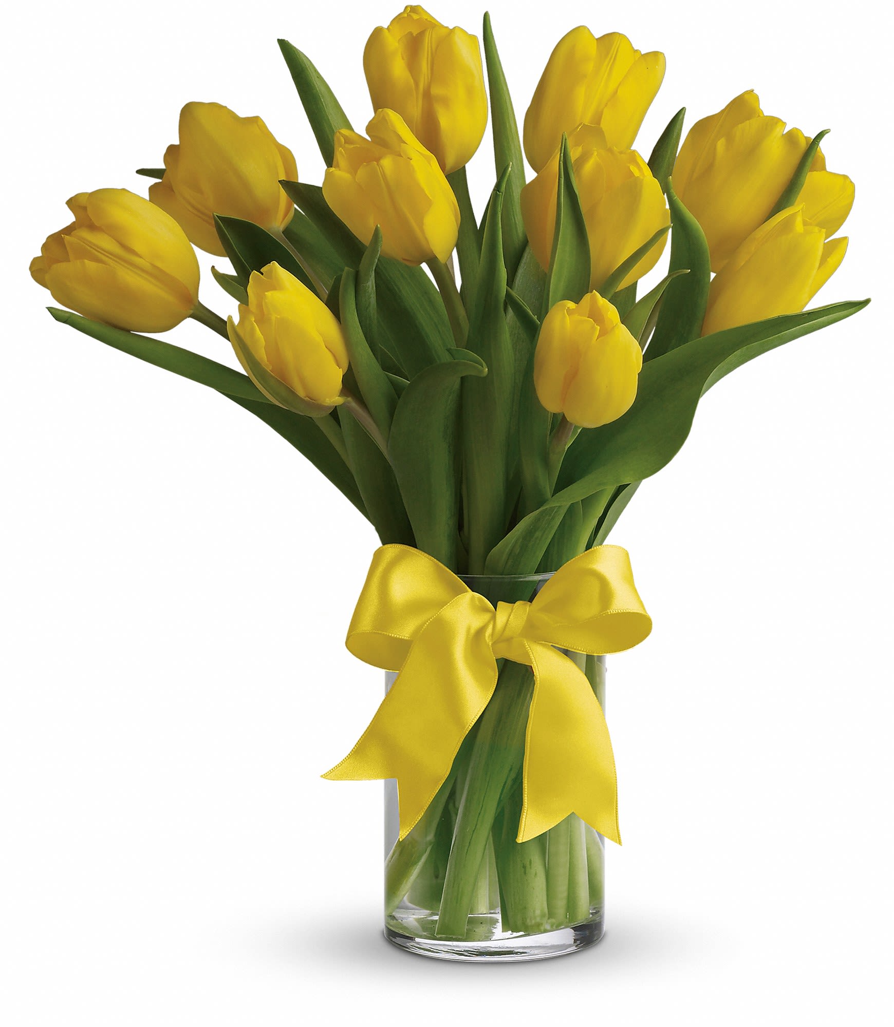 Sunny Yellow Tulips - Sunny yellow tulips are a sure sign of spring. Even if the weather is not cooperating, you can be sure the person who receives this bright bouquet will feel the warmth of your message.