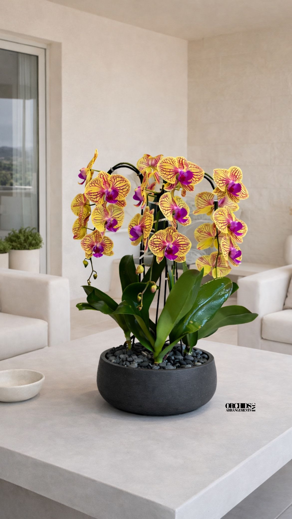 Peach Orchid Plant - A high quality Four peach orchids arrangement with a vase 12.5" D X 5" T. An orchids arrangement deliver for any occasion design with fresh natural real beautiful Phalaenopsis cascade orchids plants minimalist decor.