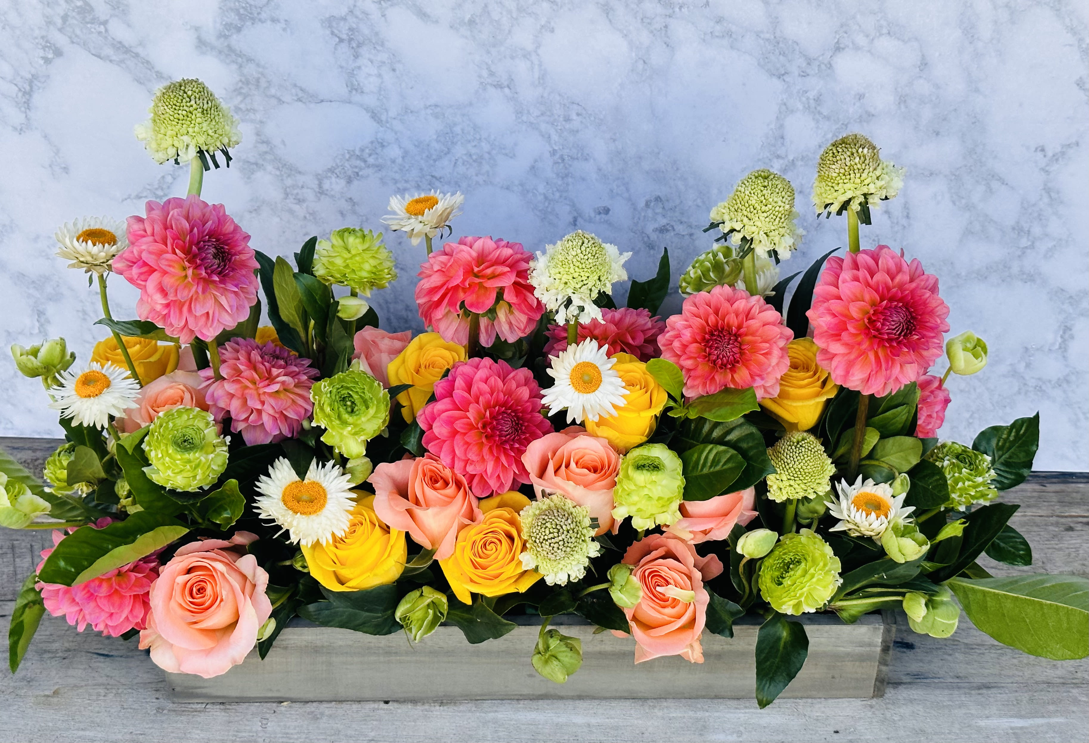 Cheerful Elegante' - This grand design of bright festive flowers in  a 14" wood box filled with roses, ranucua, dahalia,scabosia &amp; strawflower is sure to brighten anyones day.  Flowers may change base on availability but color scheme will remain the same.