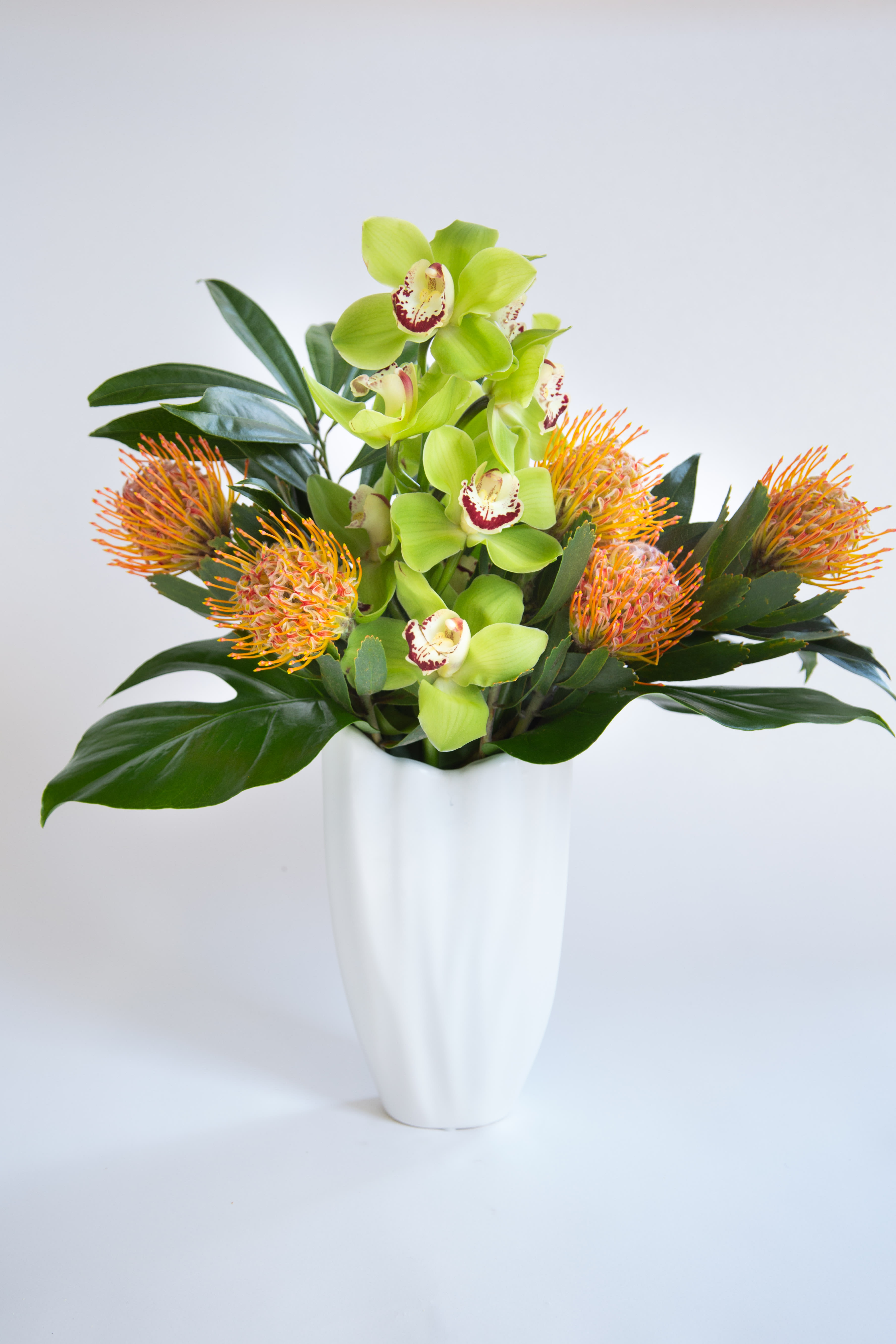 Tropicali - Modern white ceramic vase with orange pincushion protea and a green cymbidum stalk.