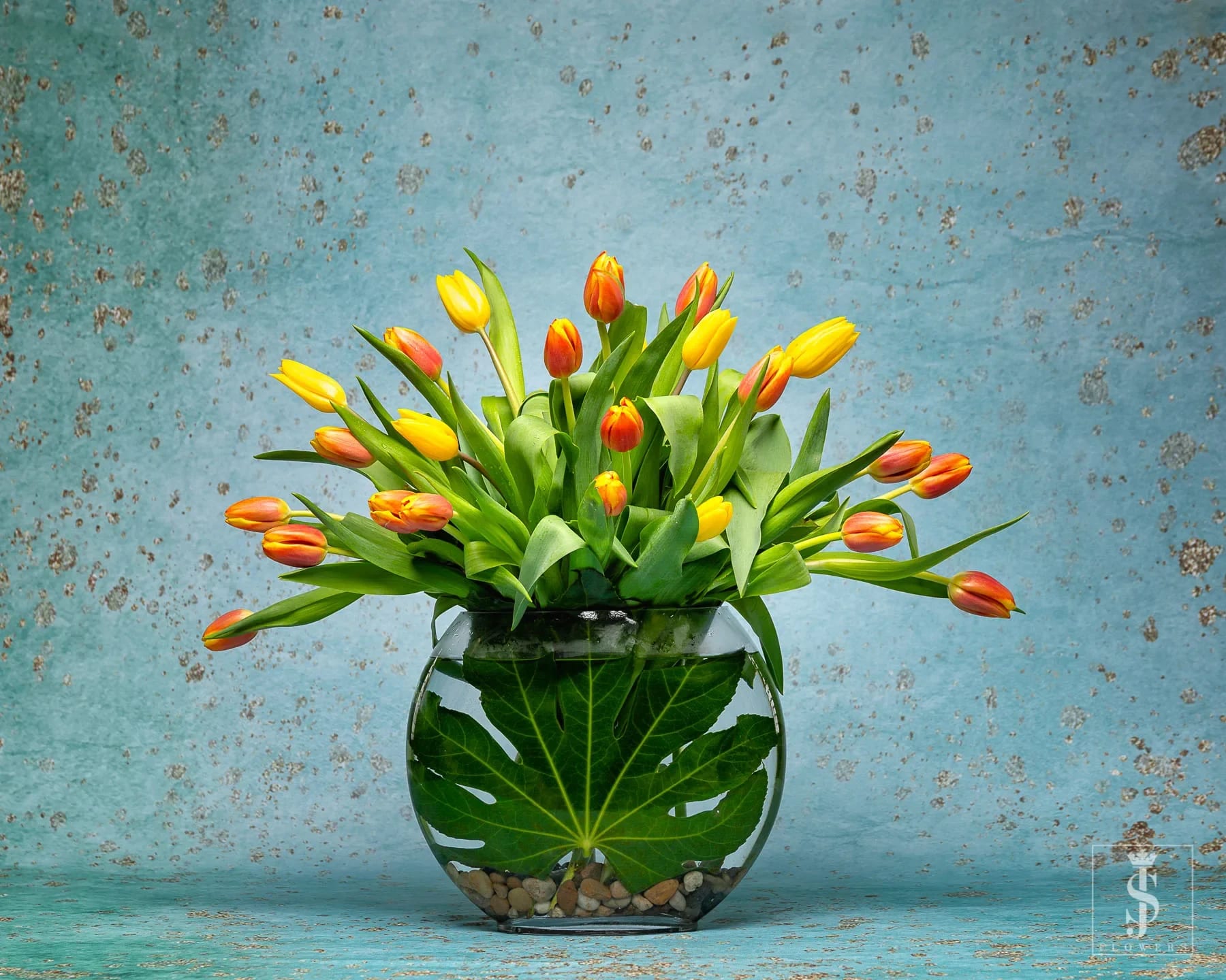 Tulip Oasis  - Nothing says I love you " like our Modern Arranged Tulips! Bring light and happiness to the love of your life with our Mix of tulips. This famous native of the Netherlands is a symbol of love between partners or family members. They also represent prosperity and are the flower associated with the eleventh wedding anniversary. Some say yellow flowers are the color of unrequited love. If you send someone a yellow tulip, you’re letting them know you love them even if they don’t share your feelings. Let in a little bit of that luminous love with JS Flowers.   