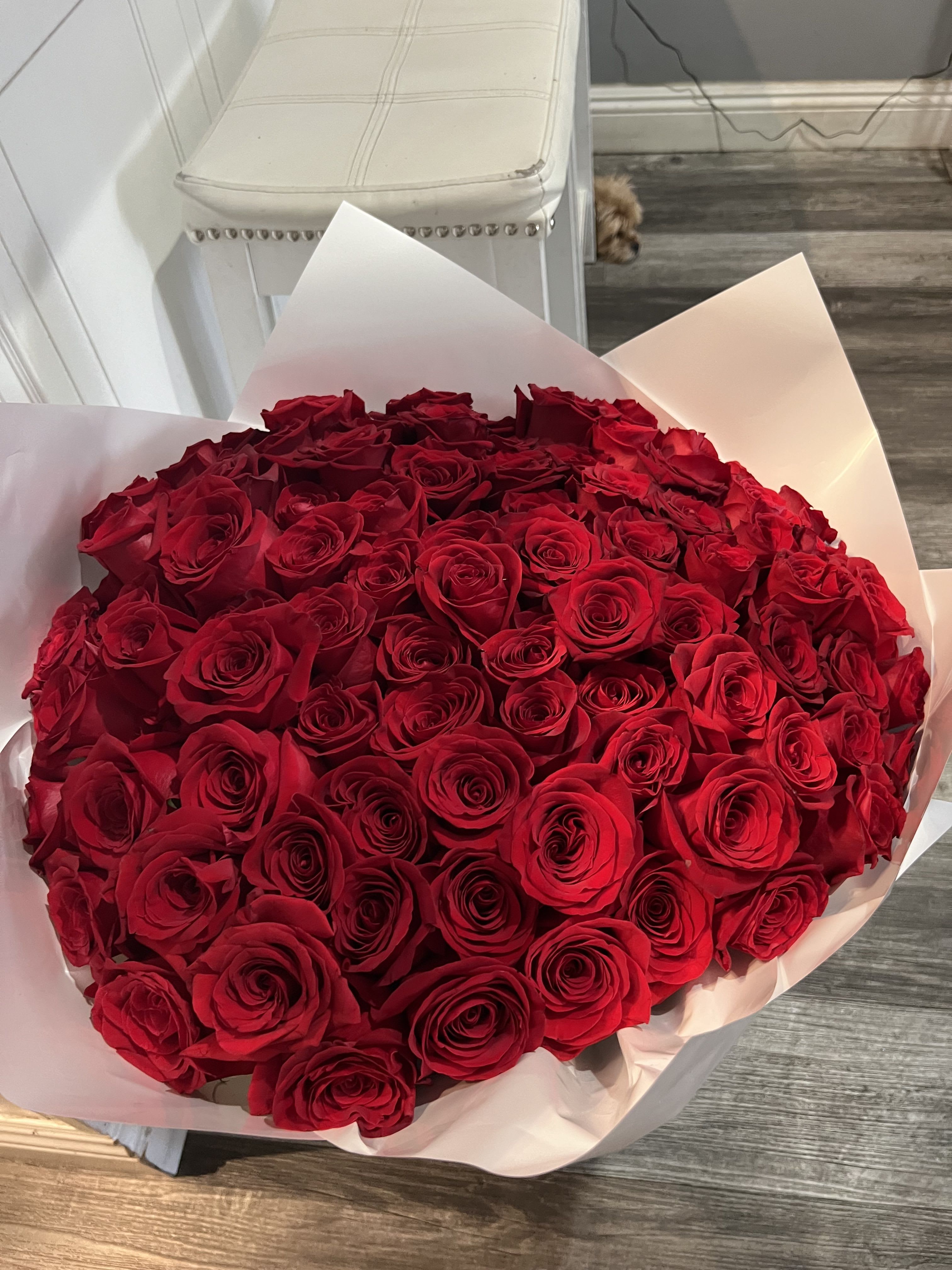 Large round bouquet of tightly packed red roses wrapped in white paper