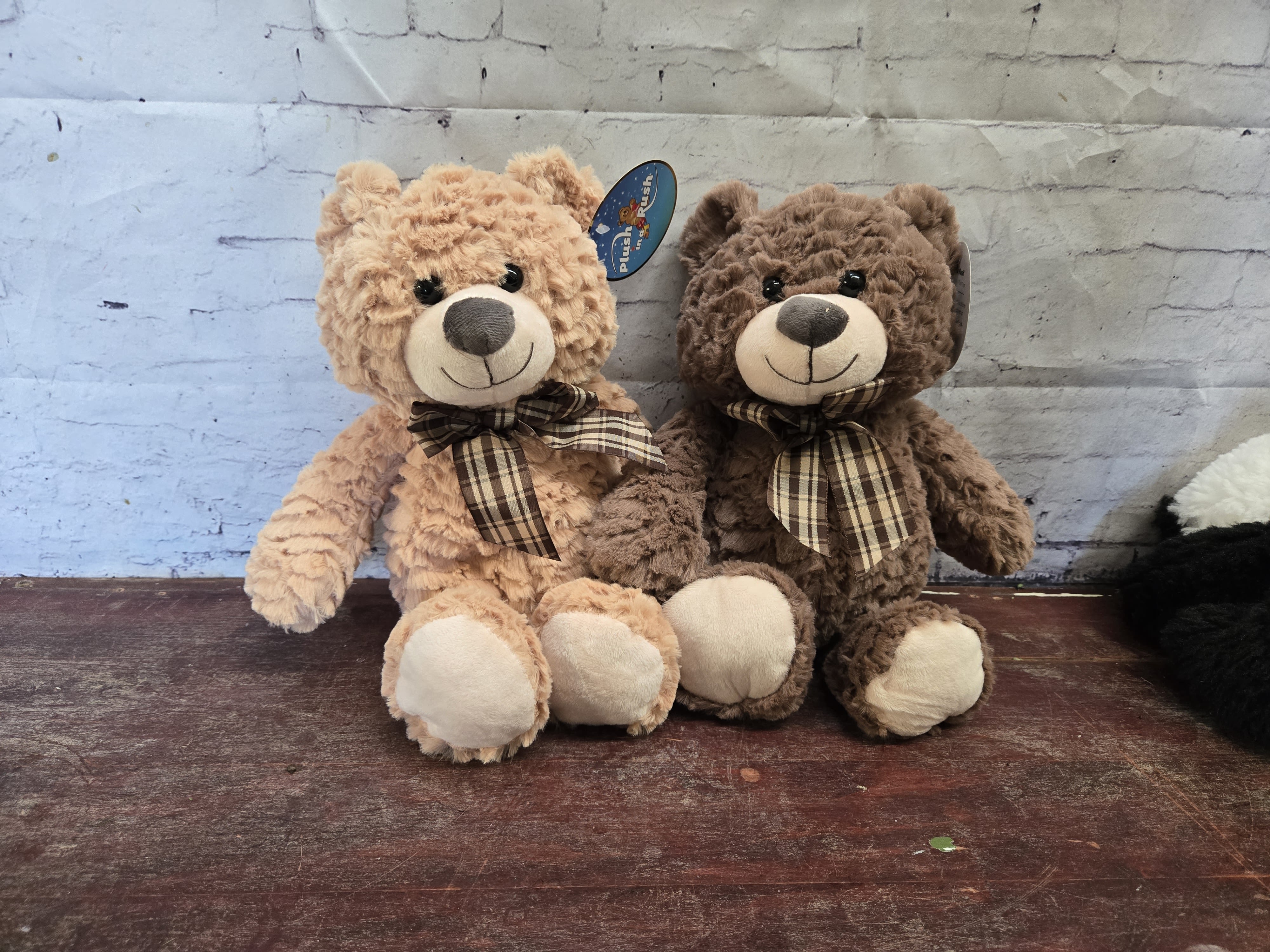 Teddy - Brown or tan Teddy