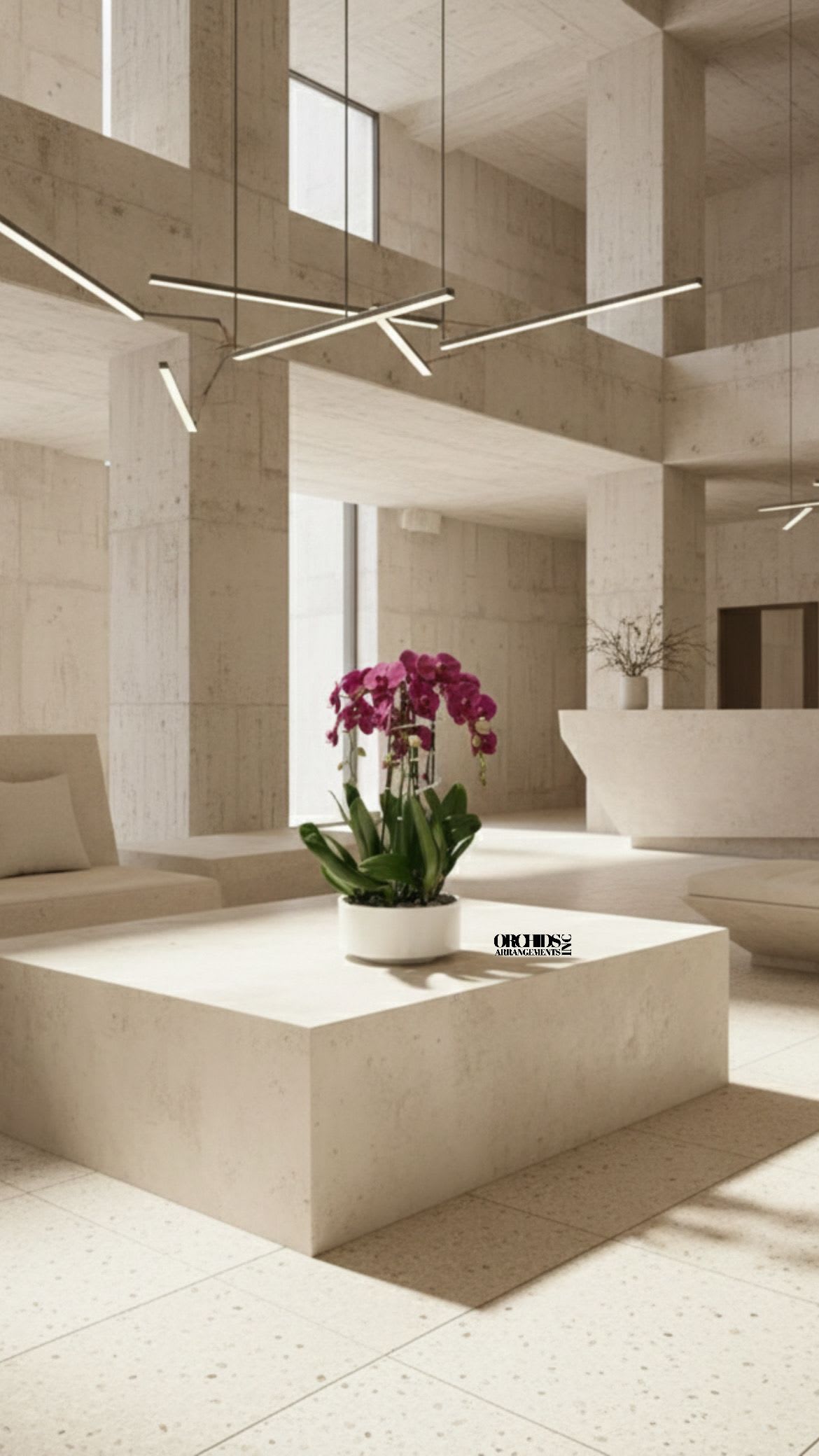 Same Day Purple Flowers Phalaenopsis - A high quality Six purple orchids arrangement with a vase 12" D X 5" T. An orchid arrangement flower deliver for any occasion design with fresh natural real beautiful Phalaenopsis cascade orchid plant minimalist decor.