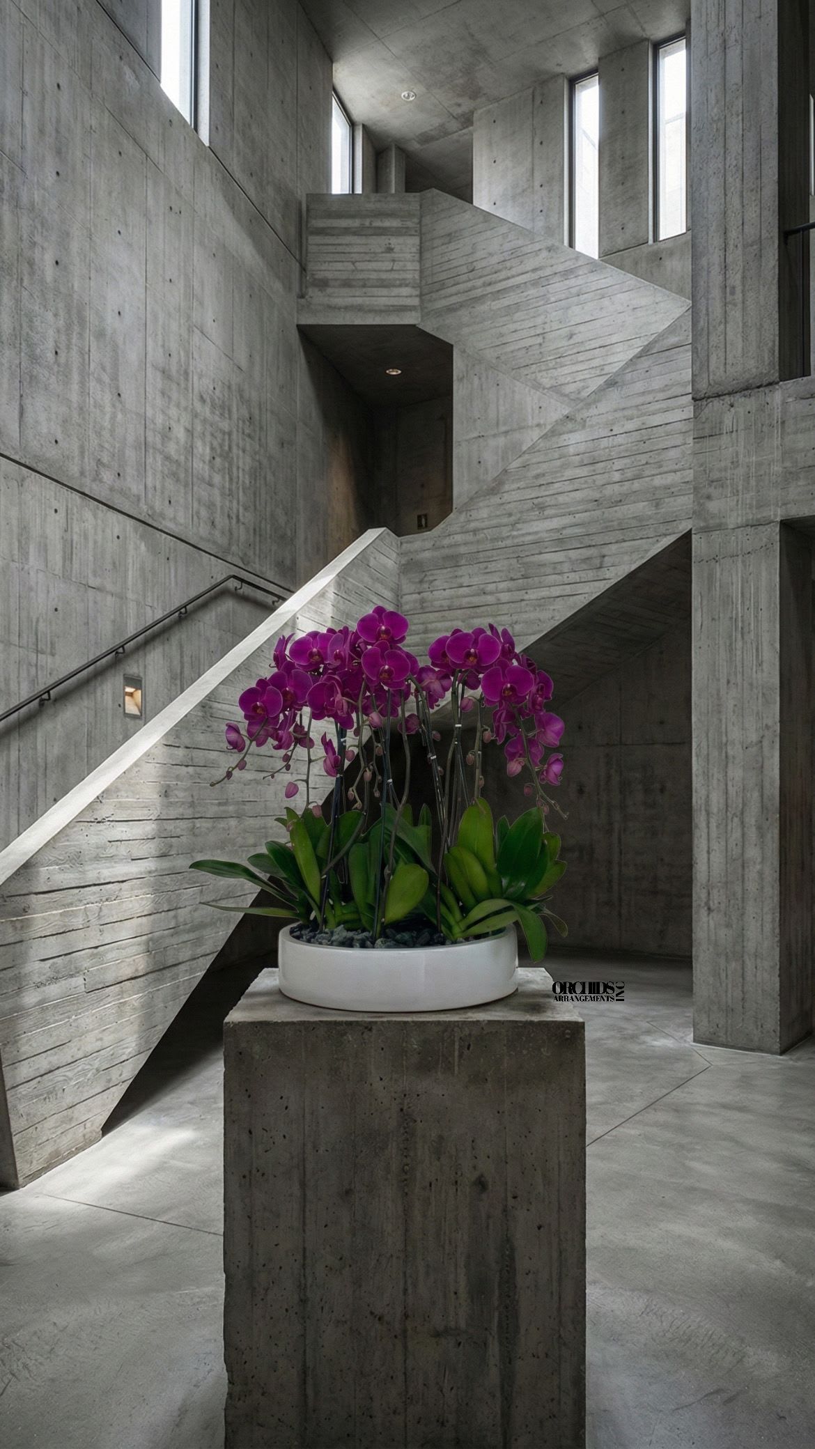 Purple Orchid Phalaenopsis Same Day - A high quality Nine purple flower orchids arrangement with a vase 19.5" D X 4" T. An orchids arrangement deliver for any occasion design with fresh natural real beautiful Phalaenopsis cascade orchids plants minimalist decor.