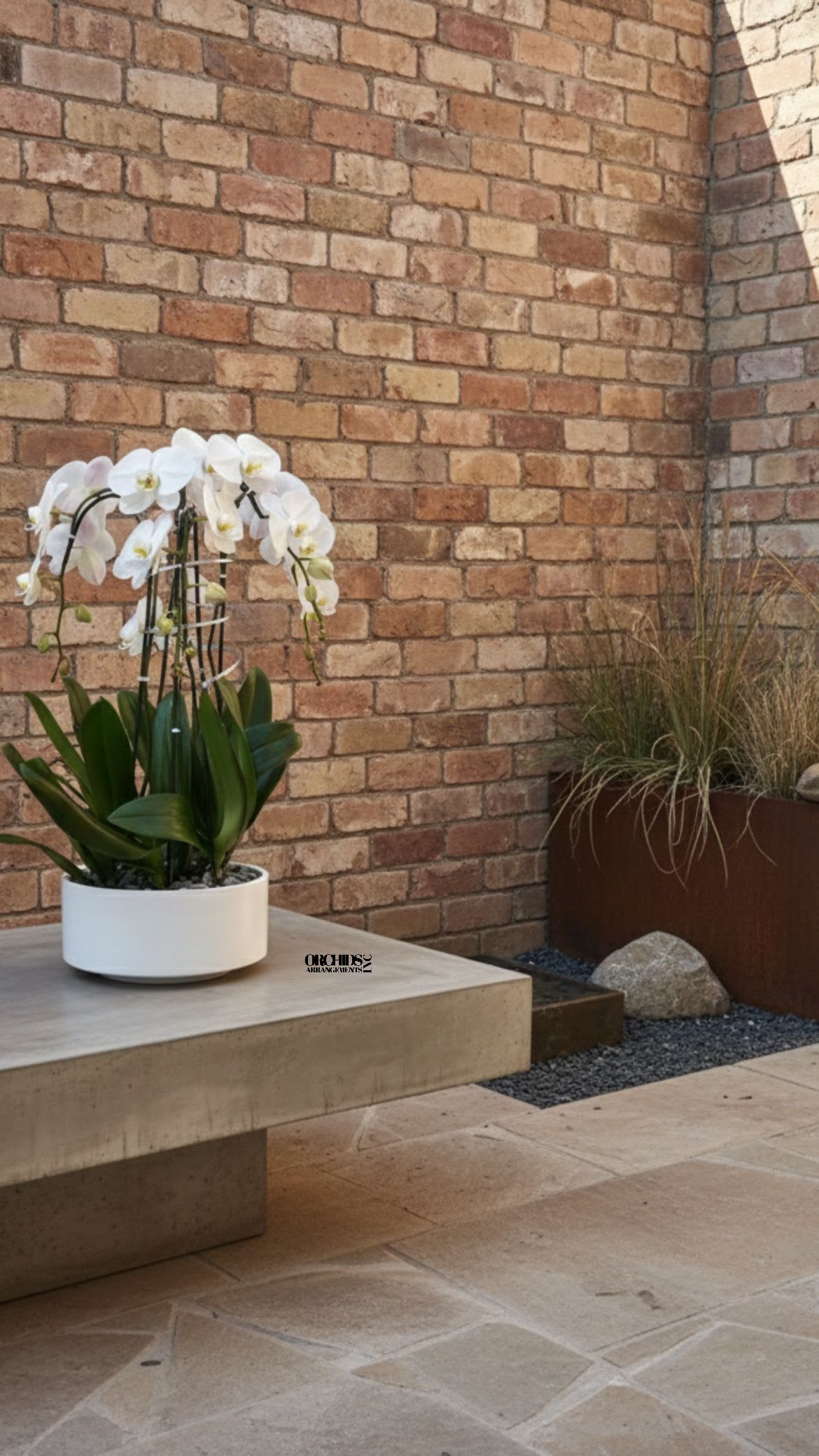 Same Day White Flowers Phalaenopsis - A high quality Six white orchid arrangement with a vase 12" D X 5" T. An orchid arrangement flower deliver for any occasion design with fresh natural real beautiful Phalaenopsis cascade orchid plant minimalist decor.