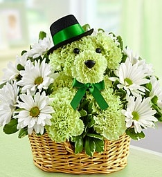 St. Patrick's Day Flower Dog - This adorable dog made of green carnations will be a sure hit for St. Patrick's Day!