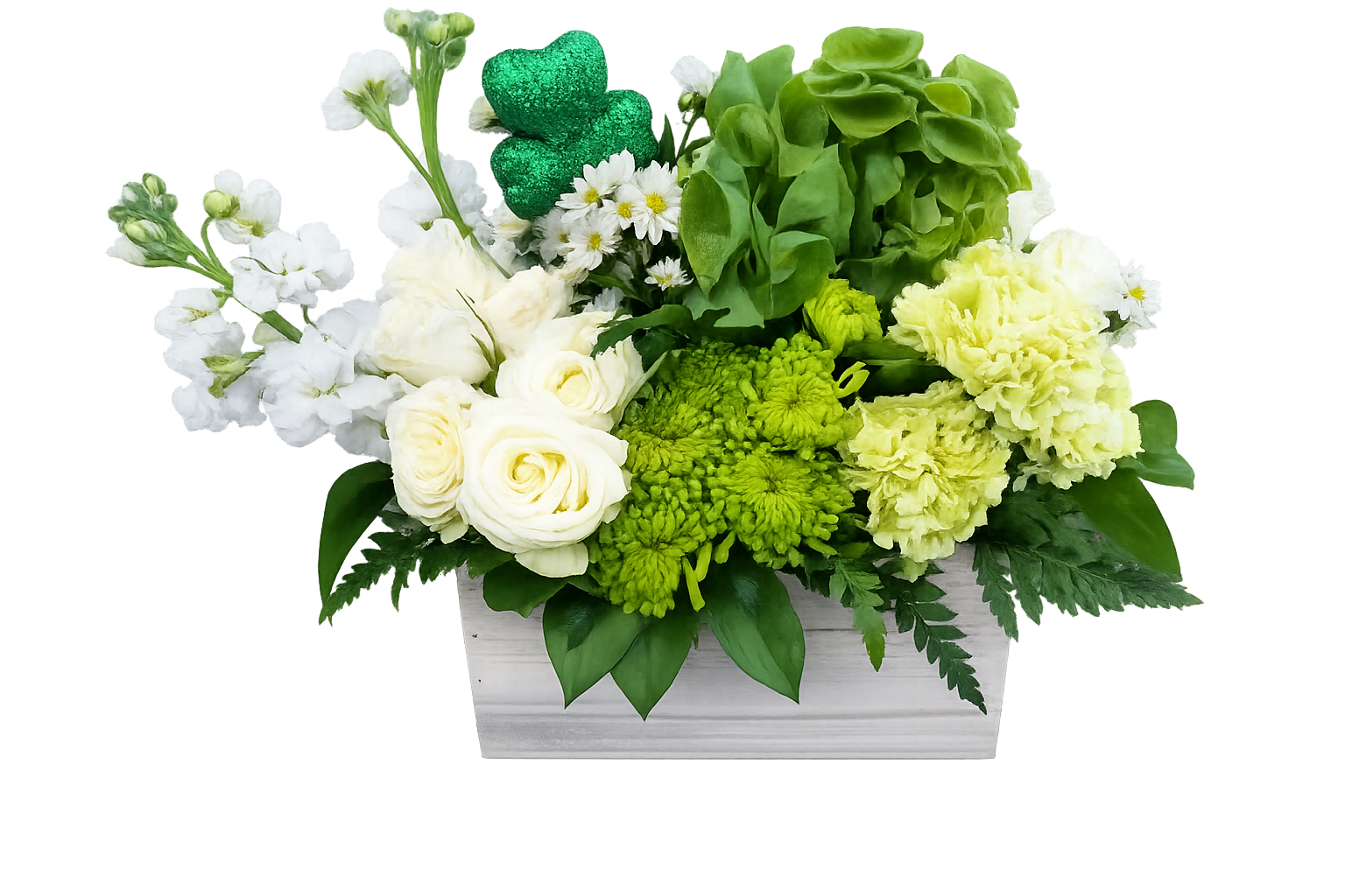  Irish Country Blooms Bouquet - Send this charming Irish bouquet, includes bells of Ireland, green carnations, white spray roses, green button, white stock and white monte