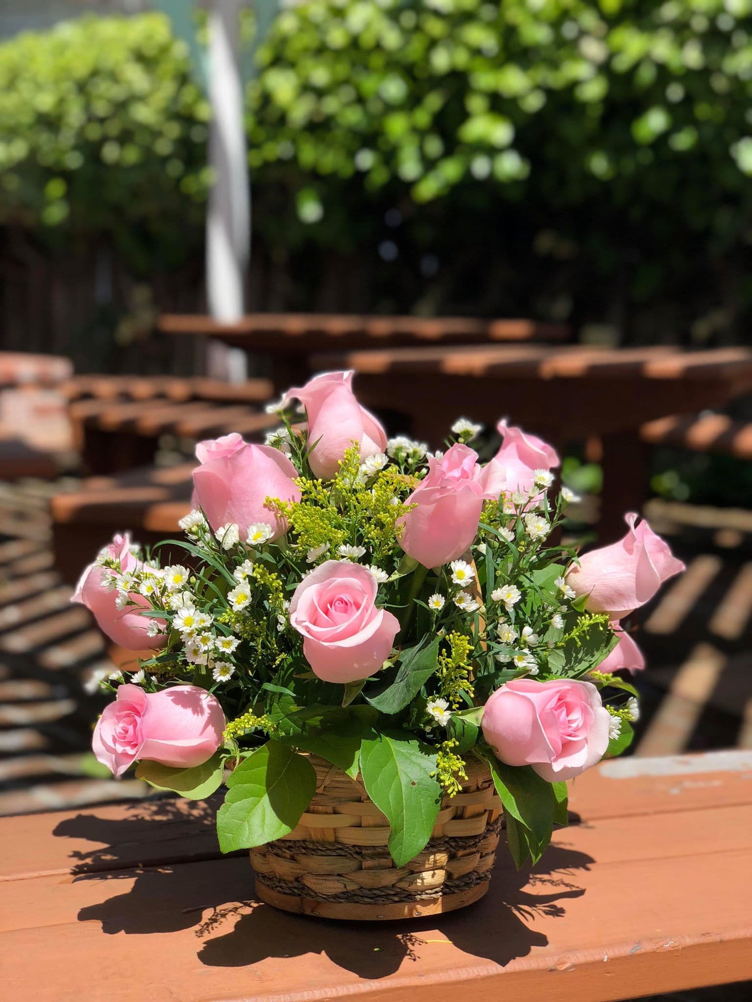 Love Blossoms - -12 light pink roses -Aster fillers -Seasonal greens