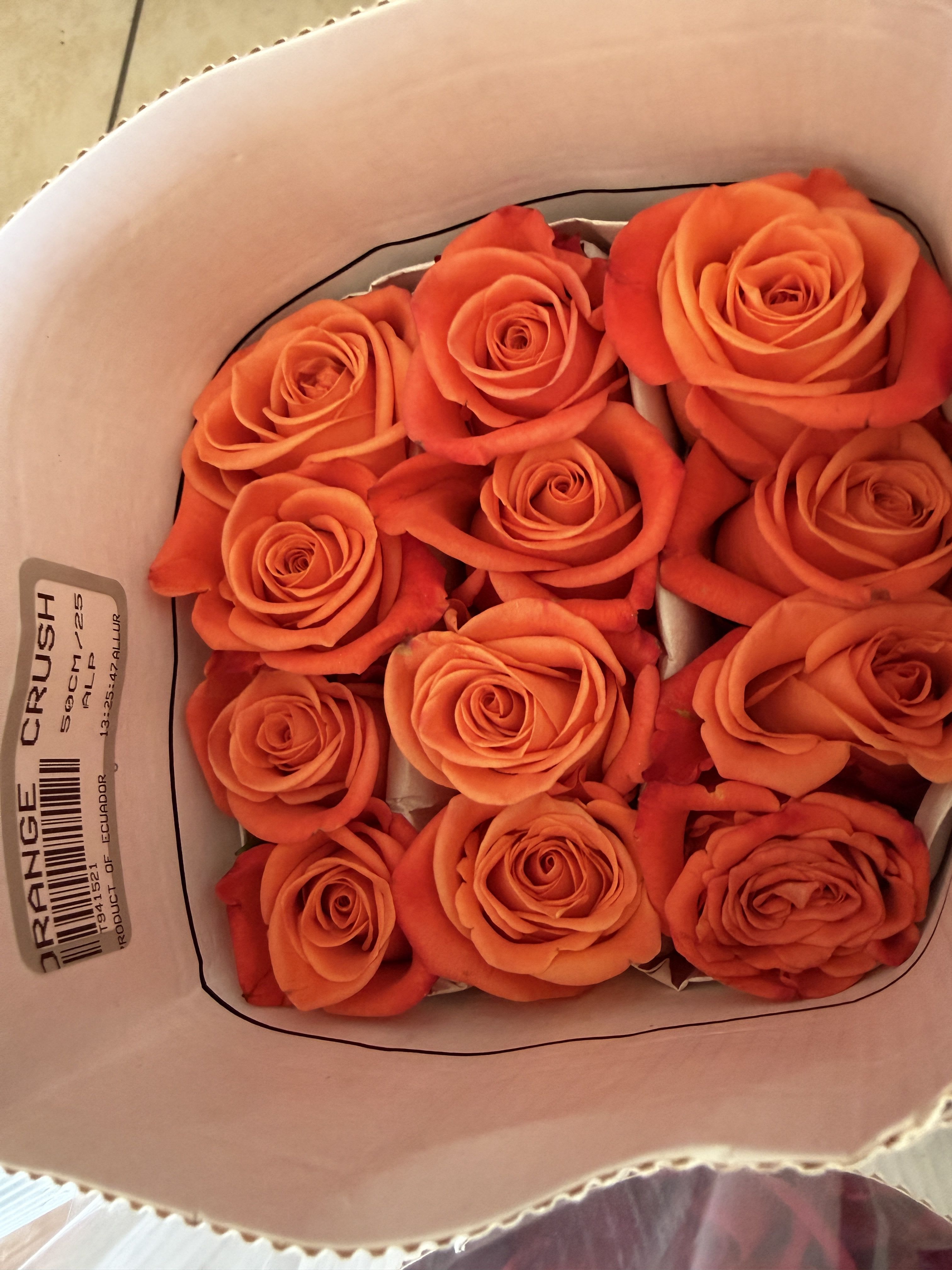 25 stem orange roses - 25 stem orange roses in the color orange crush. wholesale packs are not eligible for designing