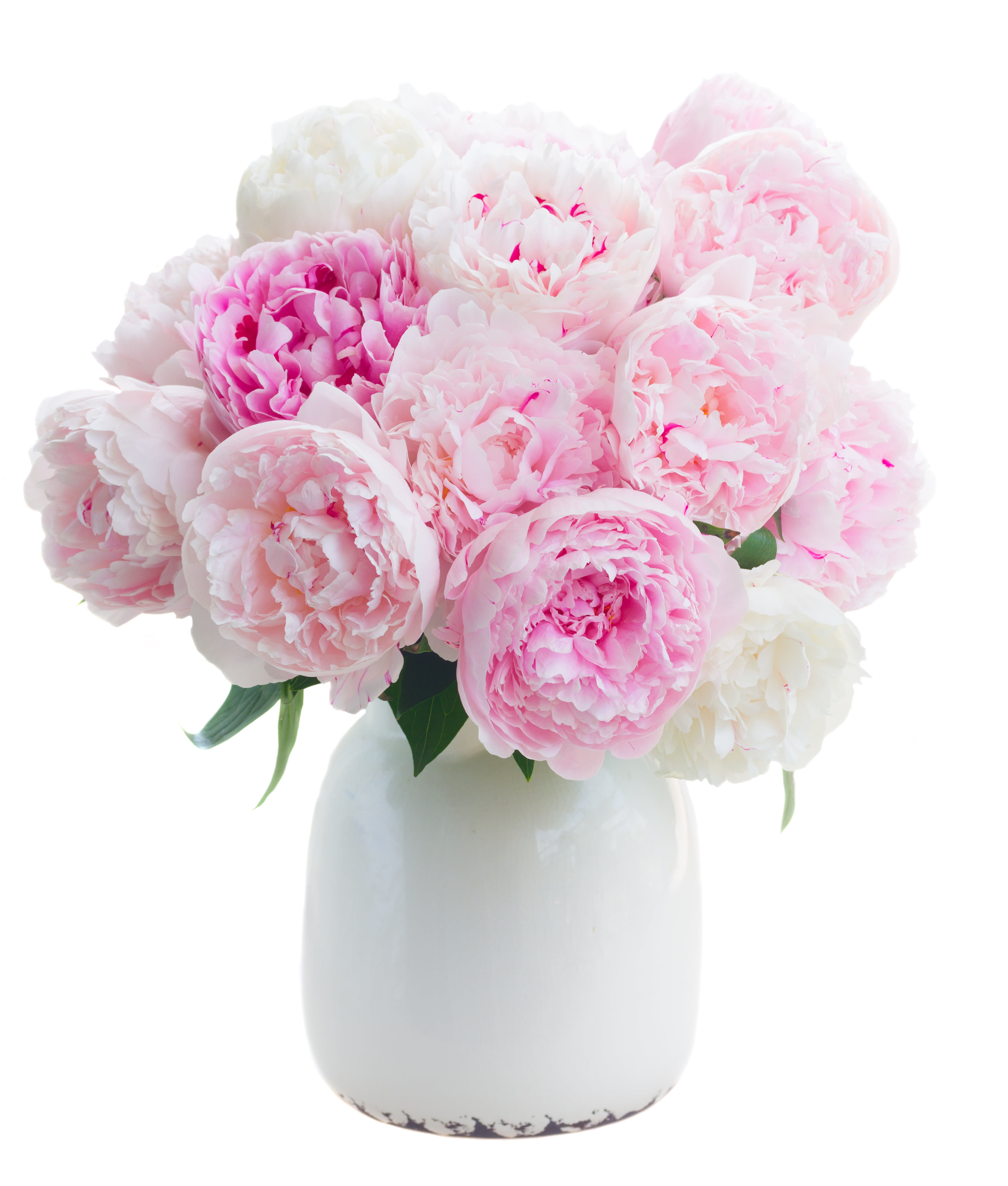 Lush Blush Peonies - A dozen (12 stems) of pink and white peonies presented in a ceramic vessel. Peonies included will be in various stages of openness. Vases will vary.  *Each bouquet is unique and design style may vary slightly. * Precise shade of pink may vary.