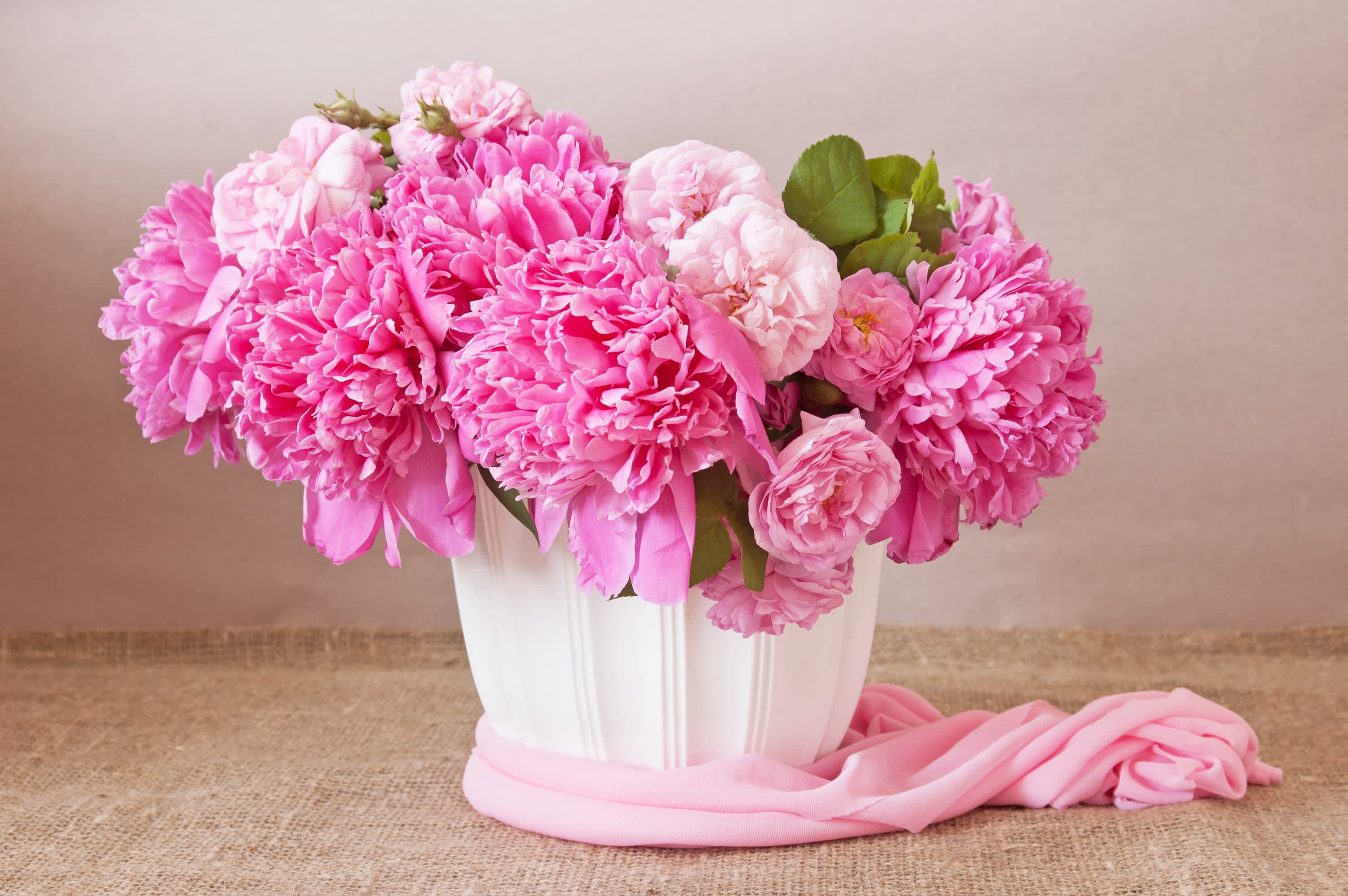 Two Dozen Pink Peonies in a Vase - Two dozen (24 stems) of peonies in various shades of pink, presented in a ceramic vessel. Peonies included will be in various stages of openness. Vases will vary.  *Precise shades of pink may vary depending on market availability.  **Each bouquet is unique and design style may vary slightly.