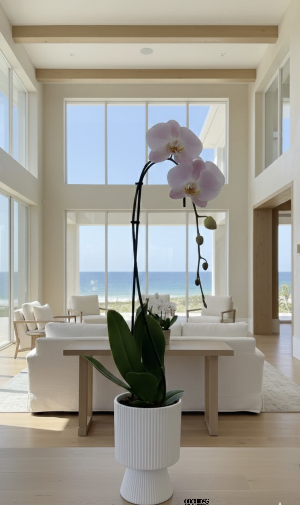 Same Day Pink Flowers - Same Day Delivery single phalaenopsis cascade pink orchids arrangement with a vase 8.85" D X 6.5" T. 