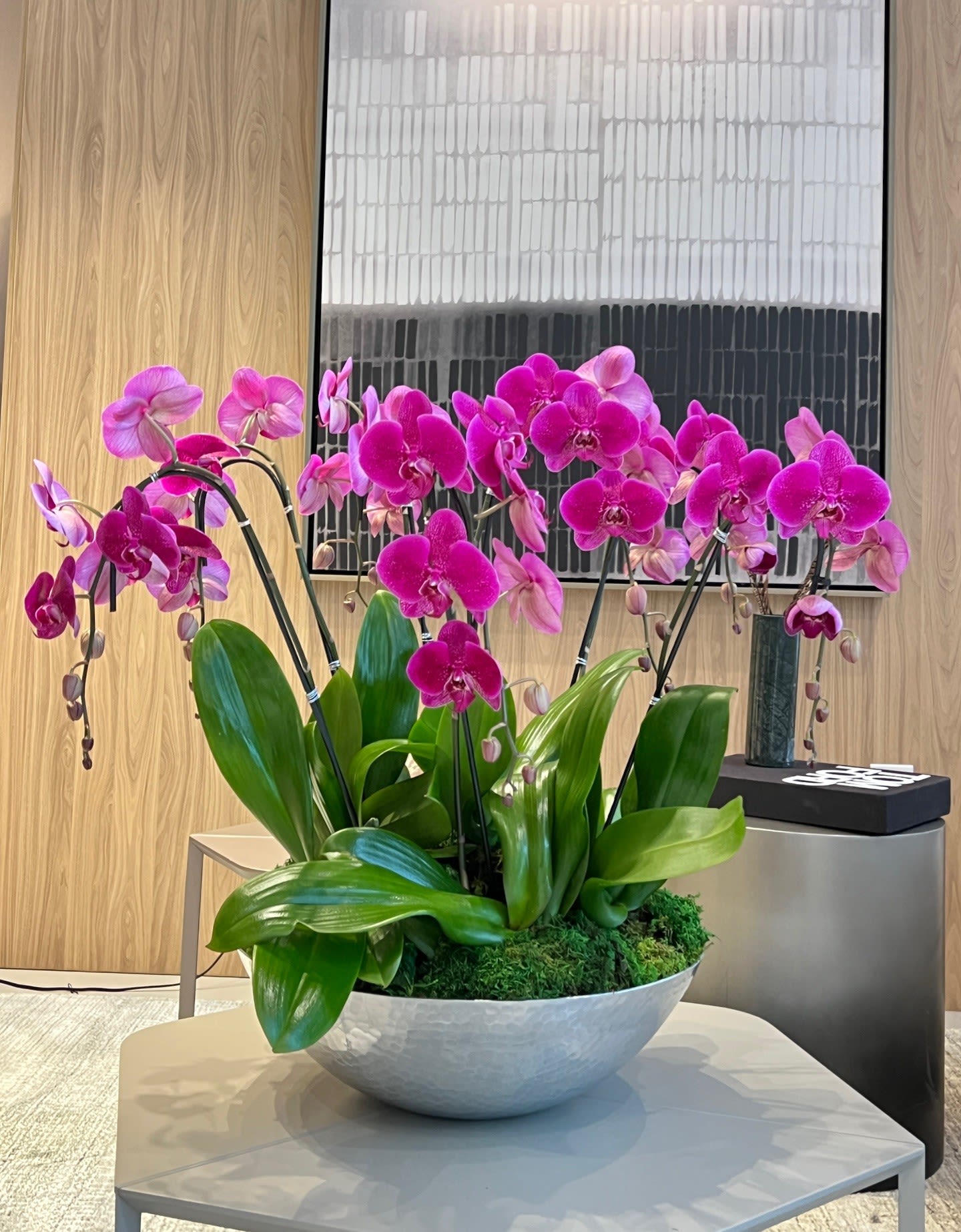 Lush Elegance ™  - This breathtaking display features vibrant magenta orchids artfully arranged in a sleek silver bowl, evoking both luxury and serenity. The lush green leaves and natural moss base enhance the orchids’ vivid color, creating a striking centerpiece perfect for modern interiors, hotel lobbies, or grand entrances. Sophisticated yet timeless, this arrangement embodies refined beauty and grace.