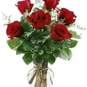 6 beautiful rose vase  - 6 beautiful red roses arranged in a vase with baby's breath. ask about other colors available.