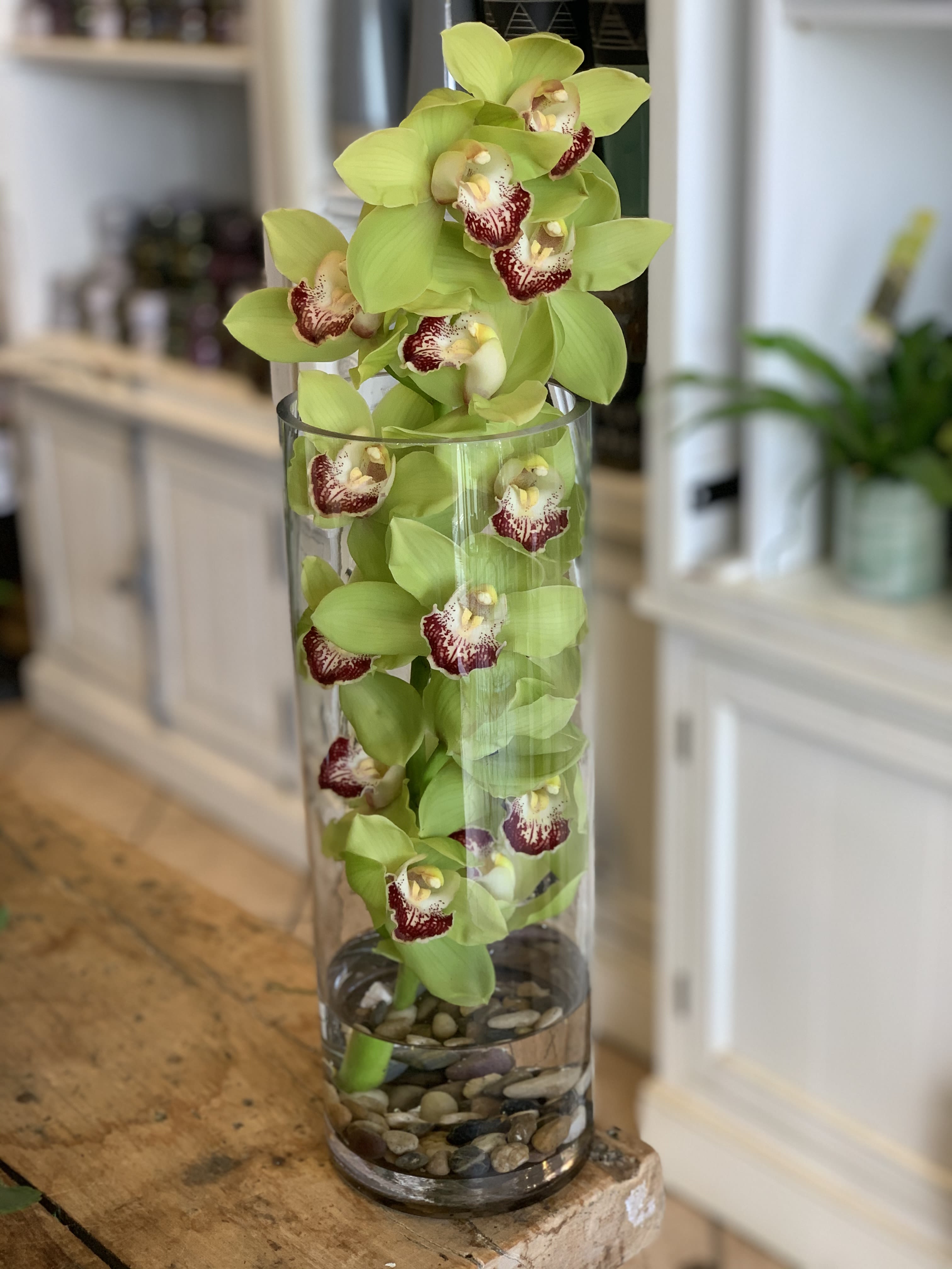 Serenity Orchid - A sleek, modern statement featuring a submerged Cymbidium orchid. Colors may vary depending on market and store availability