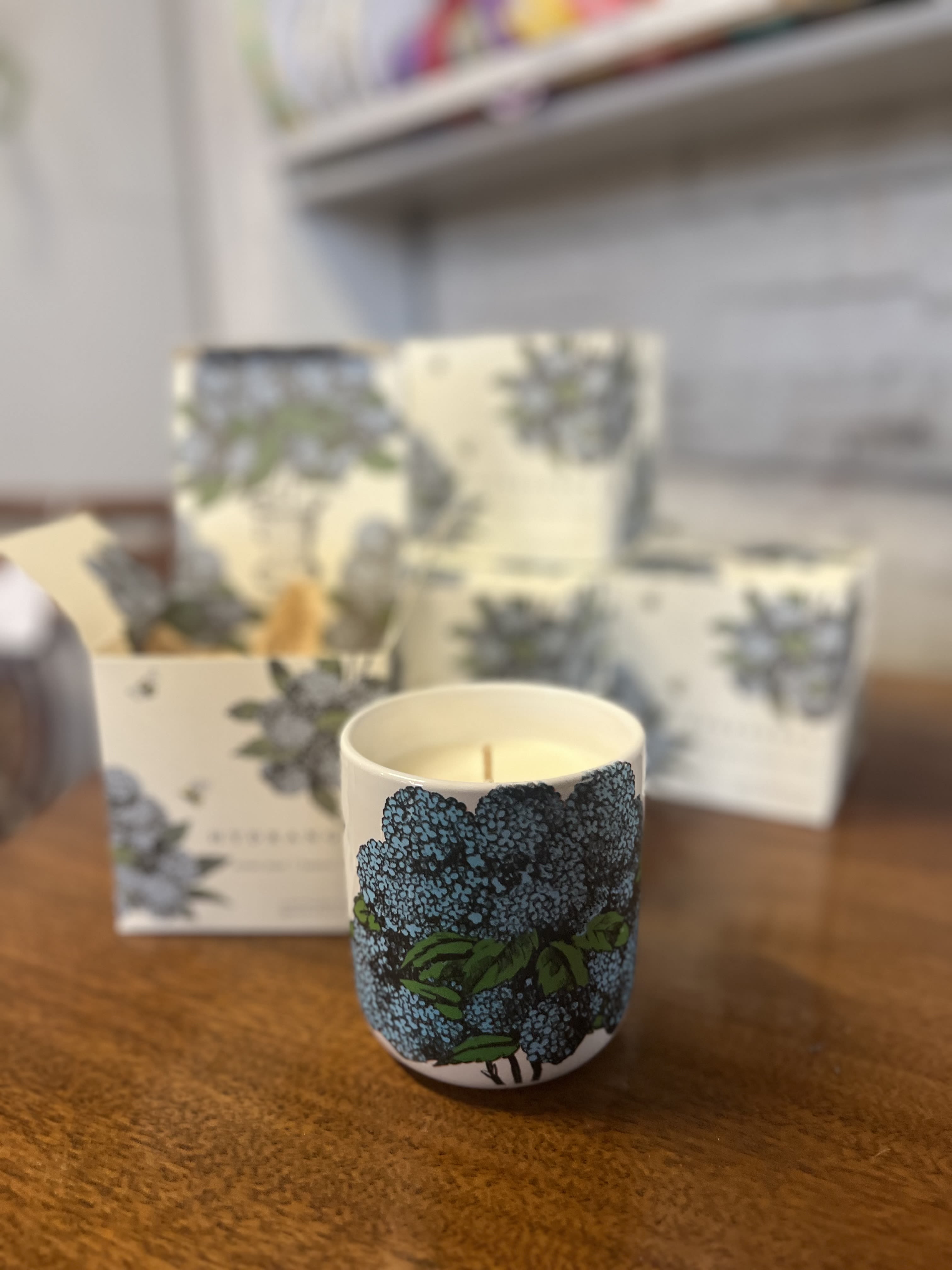 Annapolis Candle - Let the essence of the outdoors create a sanctuary where the beauty of nature and the comfort of your home intertwine in perfect harmony.  Step into the embrace of nature with a collection of fragrances carefully cultivated from the elements that thrive in the great outdoors-breathing fresh life into your space. 10 oz. boxed, soy wax. Burns 65+ hours.