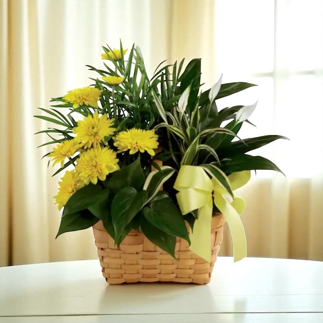 Yellow Blessings Dishgarden with fresh Flowers - Show your love with a beautiful, lush dishgarden with green plants and a small peace lily plus fresh, vibrant yellow flowers added in for a touch of peace and beauty. 