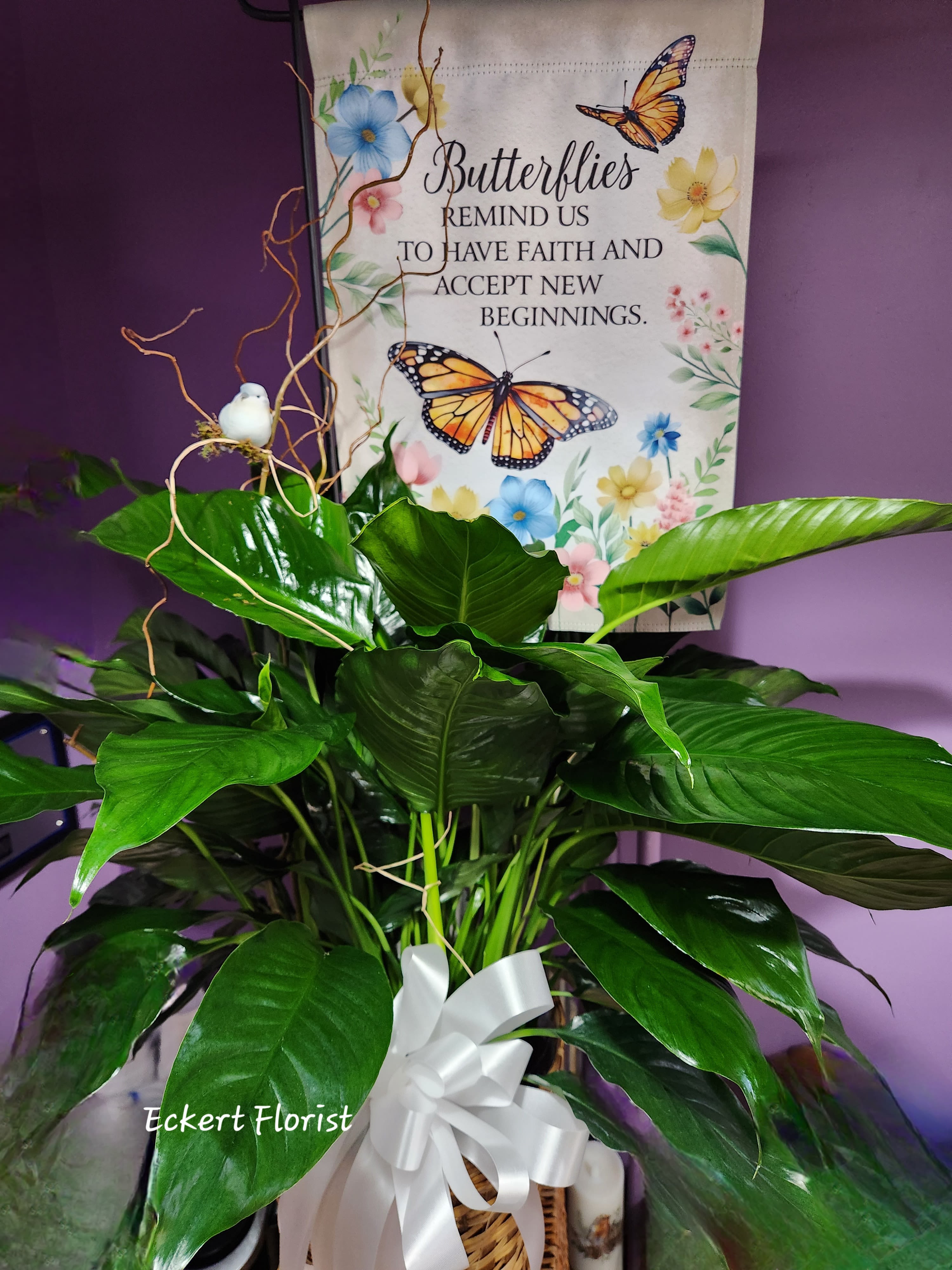  Eckert Florist's Spathiphyllum Plant with Keepsake Butterfly Garden Flag *Our Local Delivery Only - This "Peace Lily" floor plant includes a beautiful keepsake garden flag (W: 12 1/2" H: 18") with stake (40" H). Our signature Butterfly, twig, and bow are also included. "Butterflies remind us to have faith and accept new beginnings" *Our local delivery only (plants)