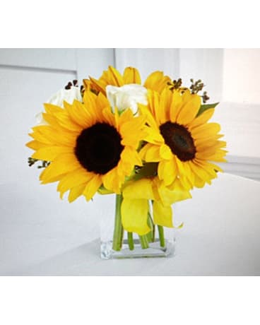 Perfect Sun - Bouquet expresses the bounty and beauty that only the sun can supply! Fresh and bright sunflowers shed their brilliant color amongst white roses and seeded eucalyptus perfectly presented in a clear glass vase accented with a yellow ribbon to create a gift of cheerful inspiration your special recipient will adore. Approx. 10H x 10W   FCB32-4336