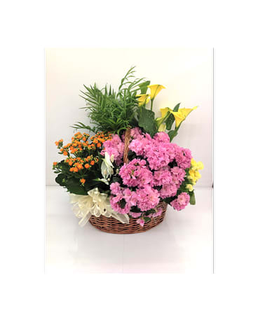 Garden Of Color - A beautiful assortment of seasonal blooming plants, to include some green plants, in a wicker basket.  Plants may vary depending on the season and availability.   FCF-EG06
