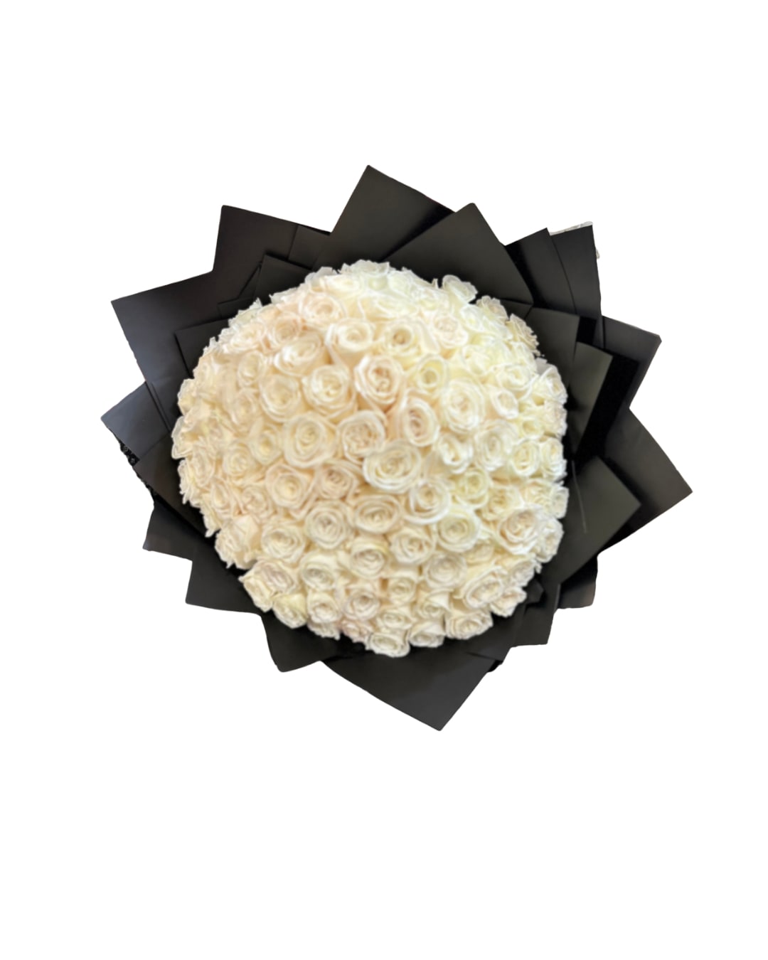 100 white roses  - 100 white roses