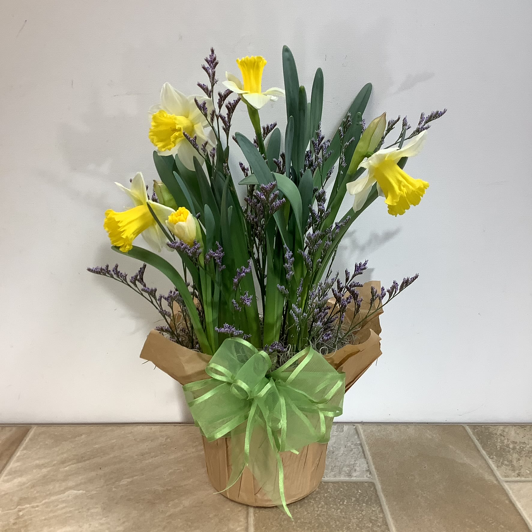 Yellow/White Daffodil Garden - Capture the beauty of spring with our pre-planted daffodil bulb garden. Simply set it in a sunny window for a delightful growing display of beautiful blooms. A wonderful living gift that’s sure to please. 