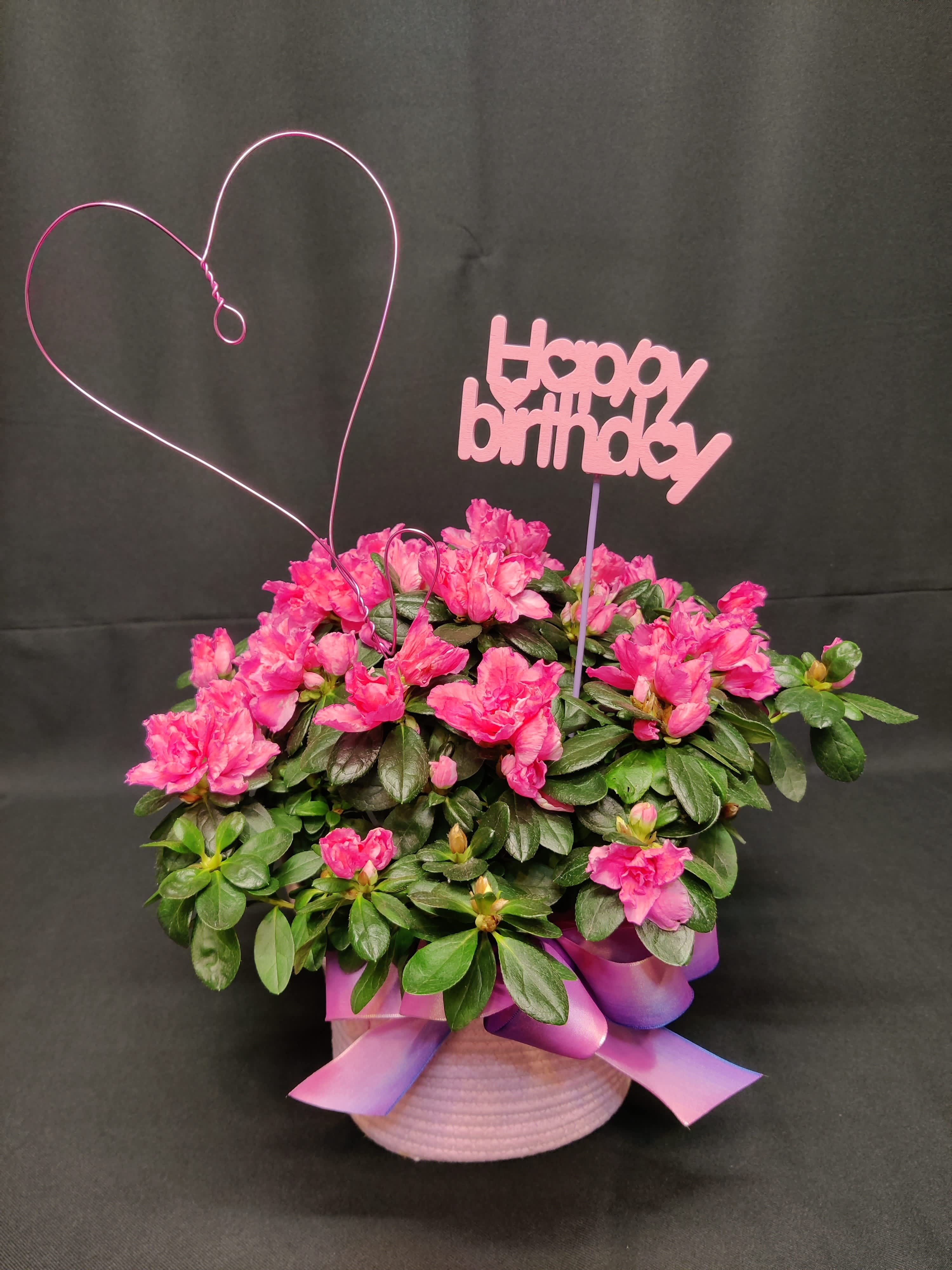 Blooming Outdoor plant for Birthday - Perennial plant for the garden. Dressed in a cute pink cloth basket or metal cachepot with a heart and Happy Birthday pik