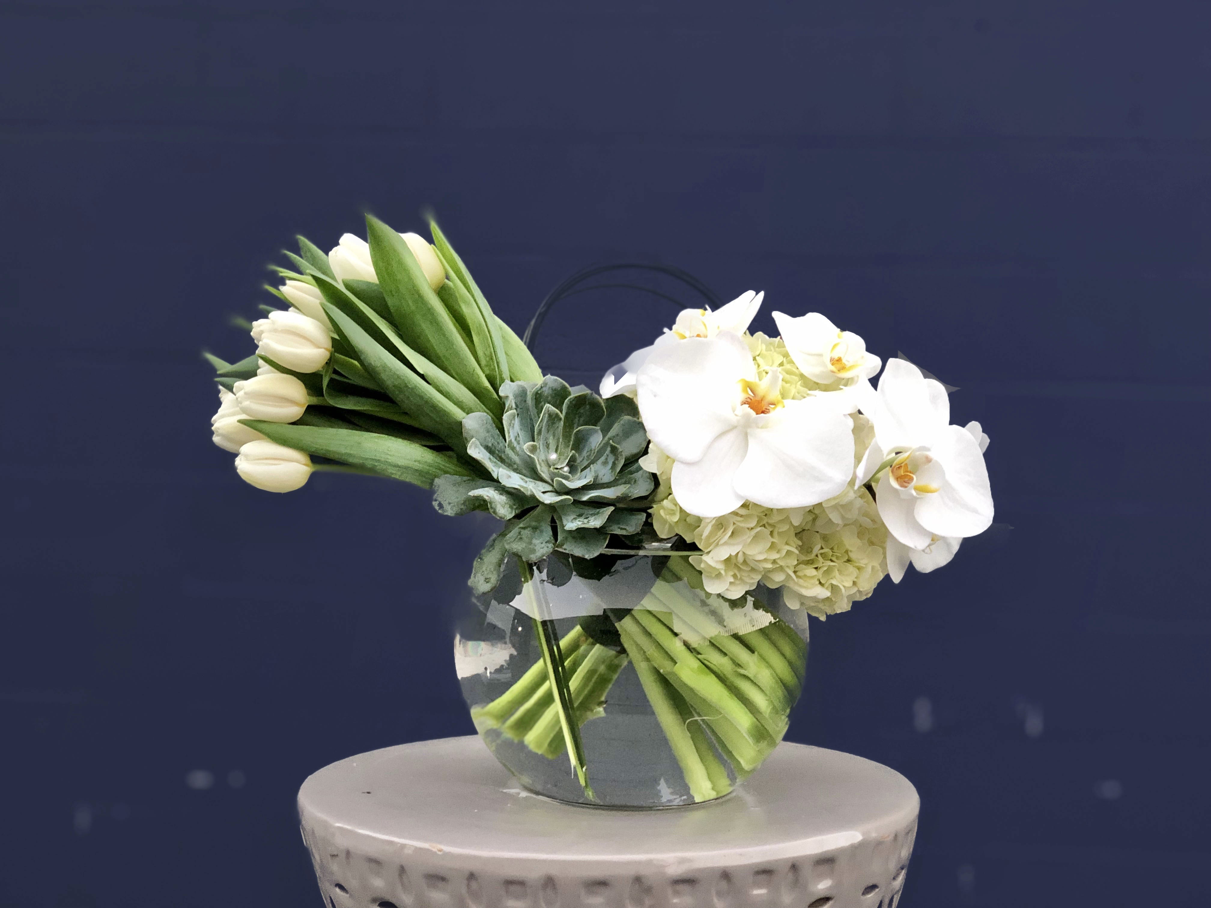 Modern V - This modern arrangement is artfully designed with Tulips and luxurious Phalaenopsis Orchids, with soft white Hydrangea, accented with a gorgeous Succulent