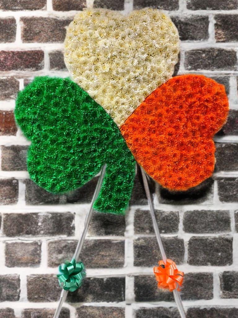 Irish shamrock luck  - Shamrock made of chrysanthemum, sprayed paint with colors of Irish flag. 